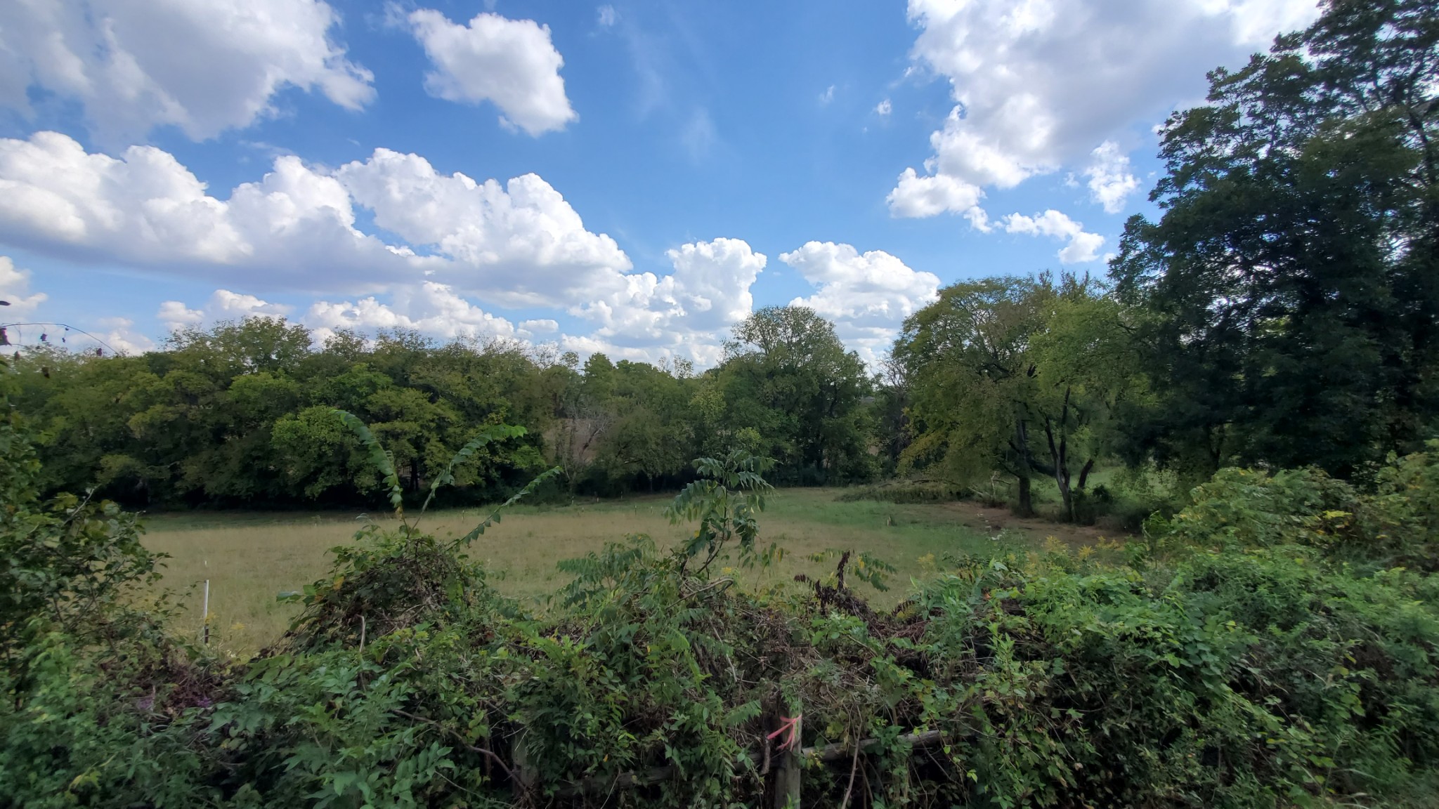 3 Cothran Rd Property Photo 1