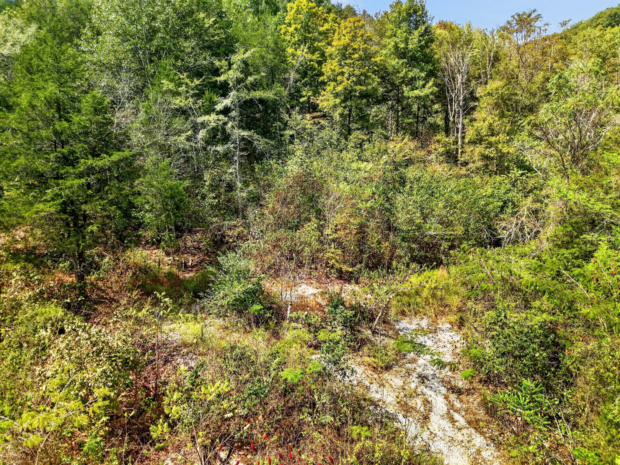 364 Turkey Branch Rd Property Photo 16