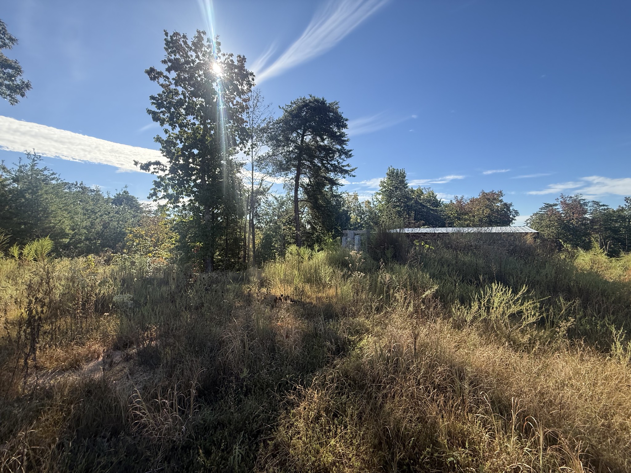 1105 New Era Ridge Rd Property Photo 12