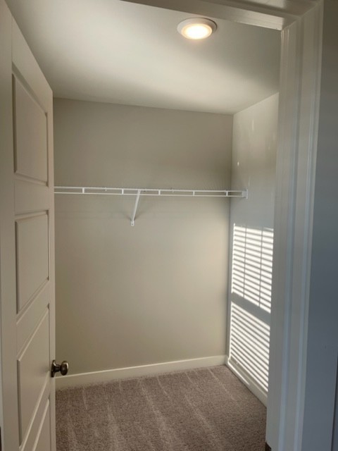 4505 Sardius Dr Property Photo 23