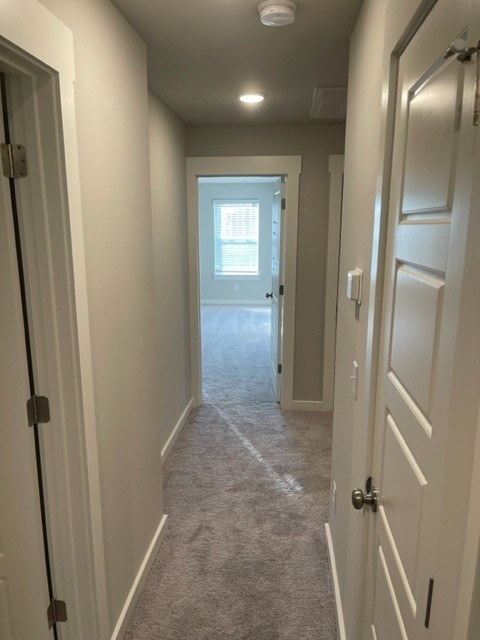 4505 Sardius Dr Property Photo 28