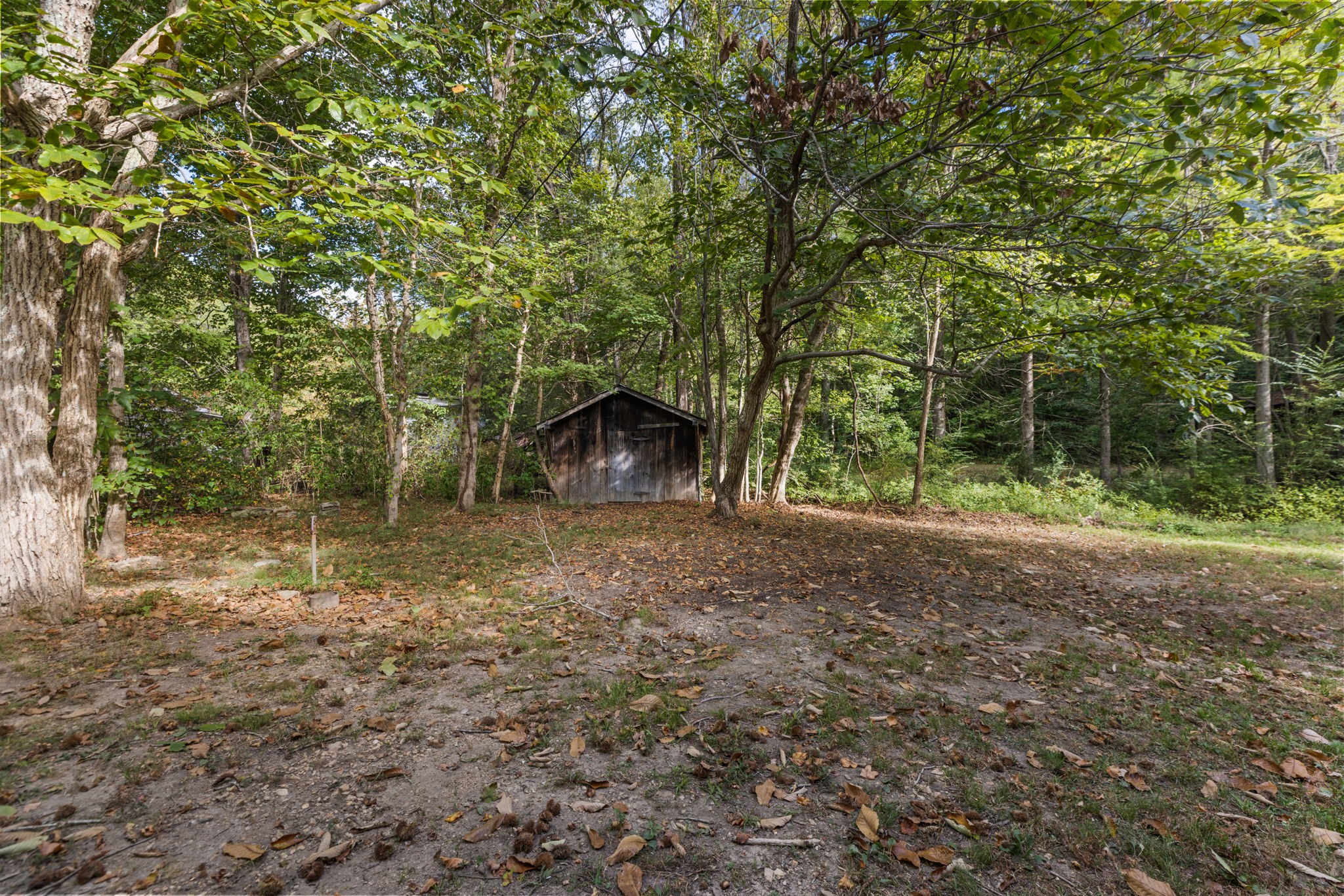 6040 Hwy 438 W Property Photo 46