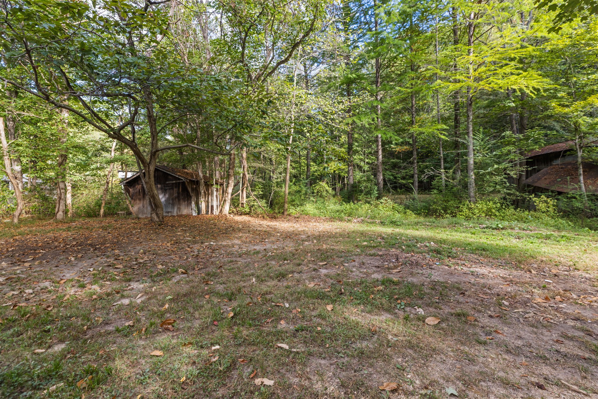 6040 Hwy 438 W Property Photo 49
