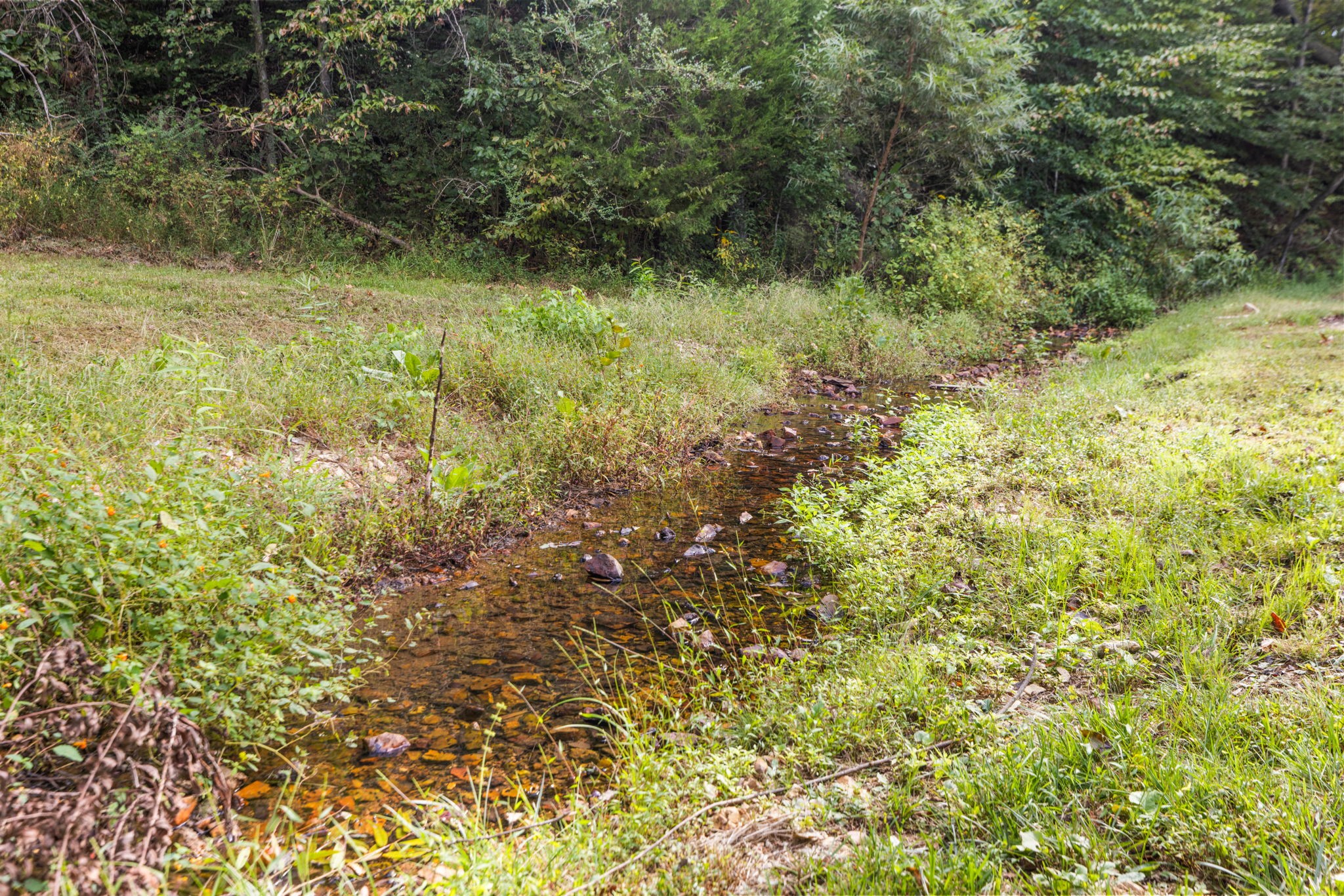 6040 Hwy 438 W Property Photo 51