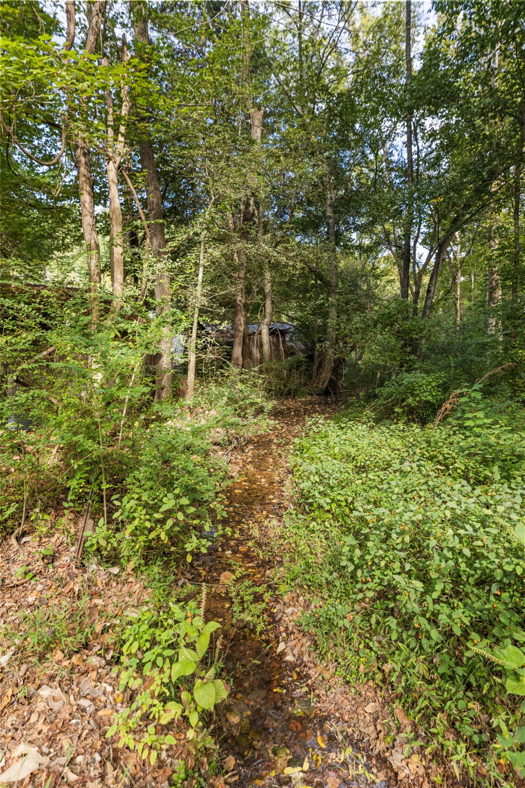 6040 Hwy 438 W Property Photo 53