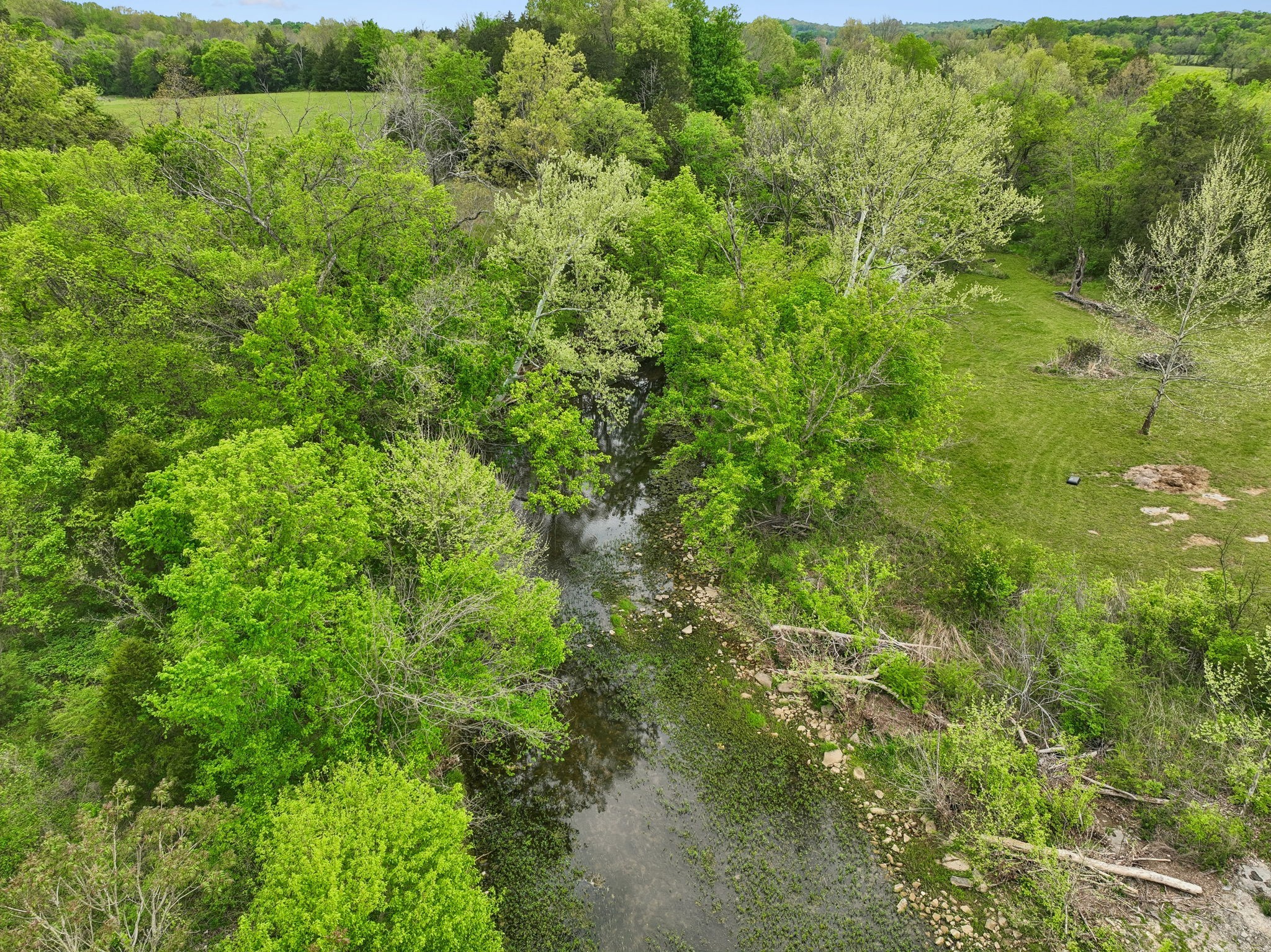 7102 Hartsville Pike Property Photo 42
