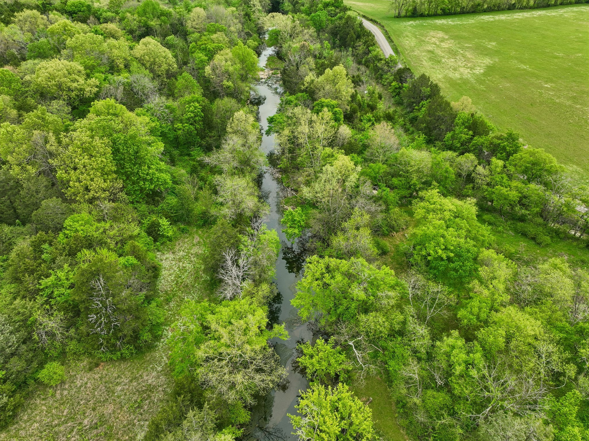 7102 Hartsville Pike Property Photo 47