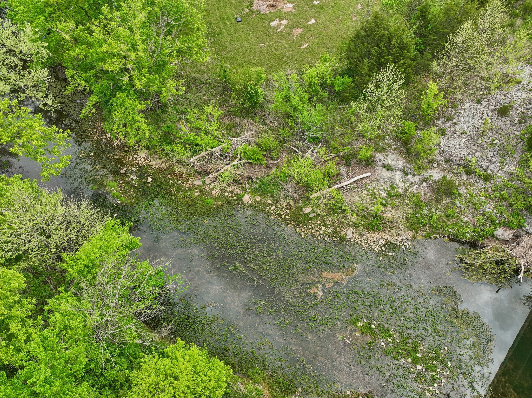 7102 Hartsville Pike Property Photo 49