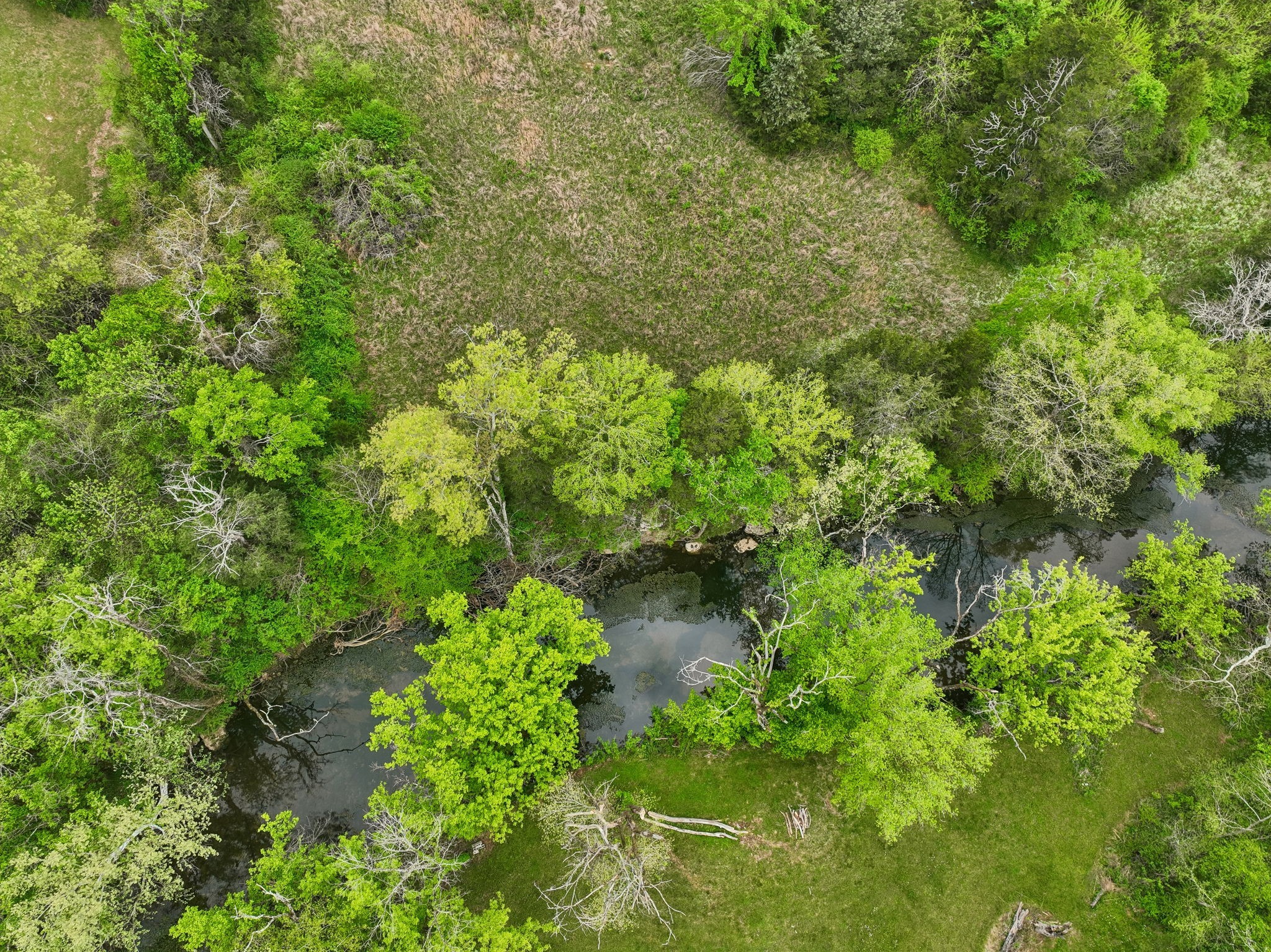 7102 Hartsville Pike Property Photo 50