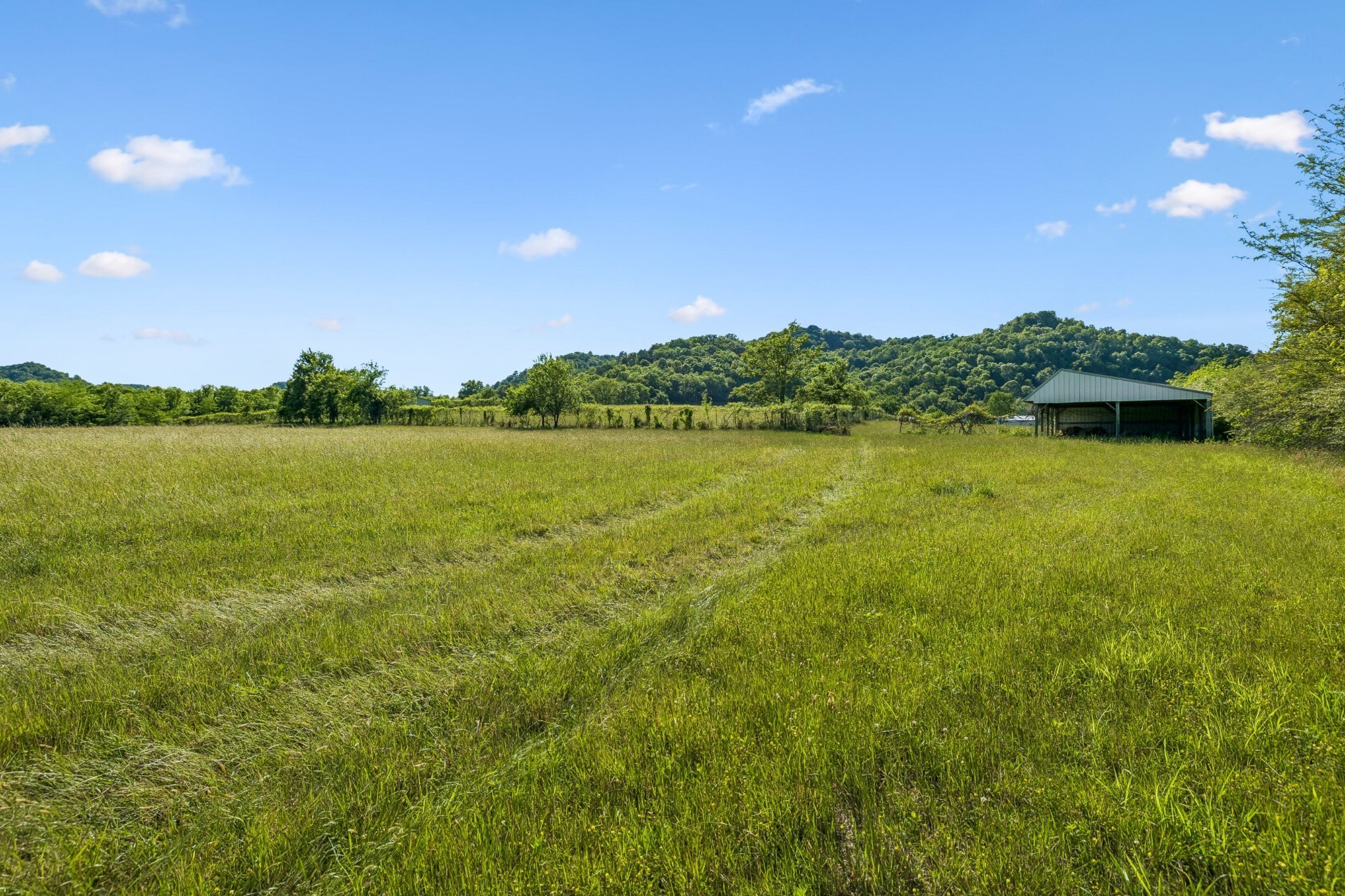 97 Seabo Valley Ln Property Photo 7