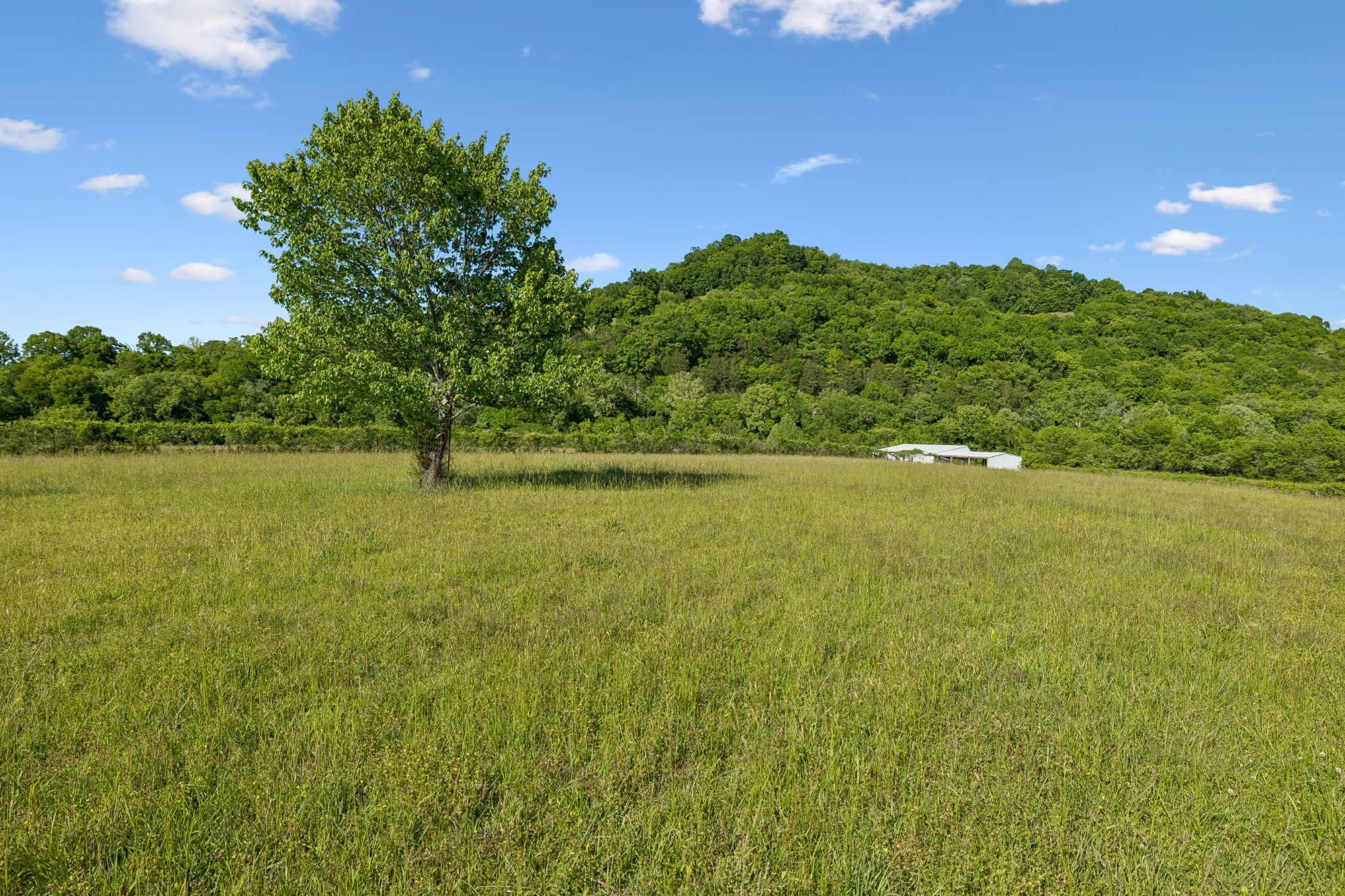 97 Seabo Valley Ln Property Photo 11