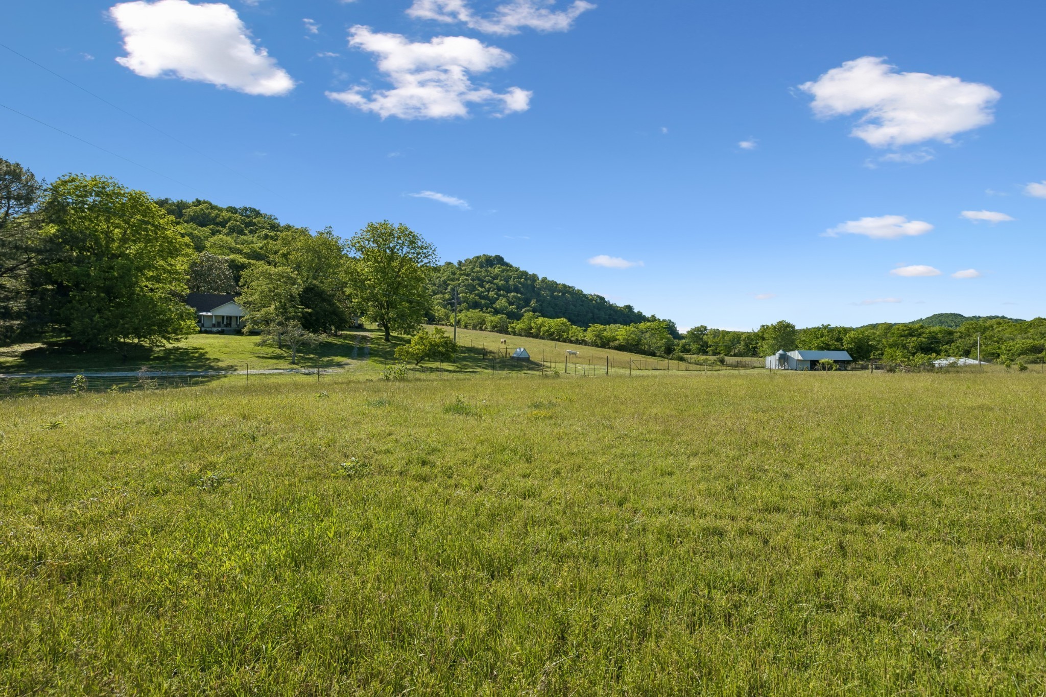 97 Seabo Valley Ln Property Photo 14