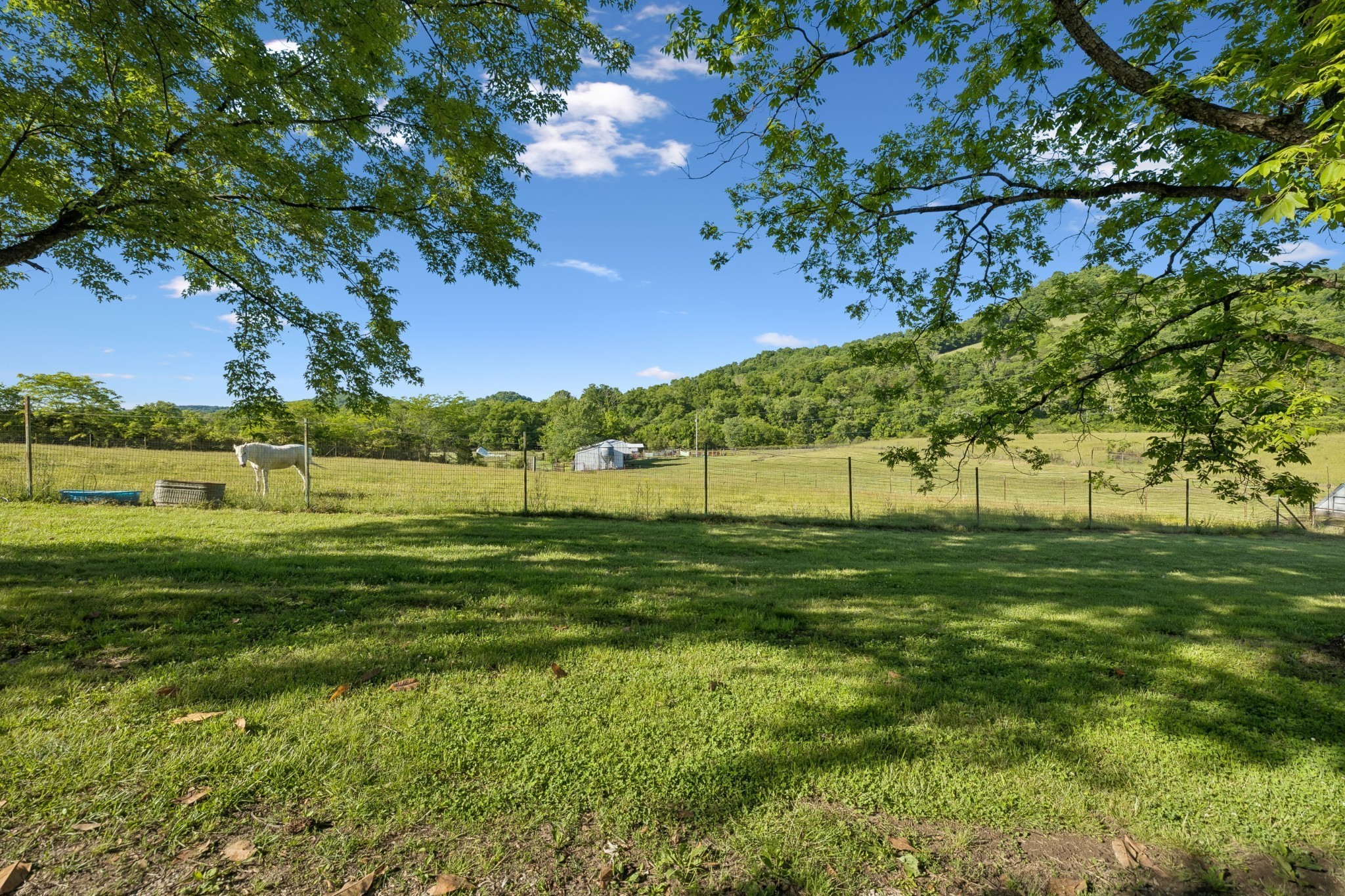 97 Seabo Valley Ln Property Photo 40