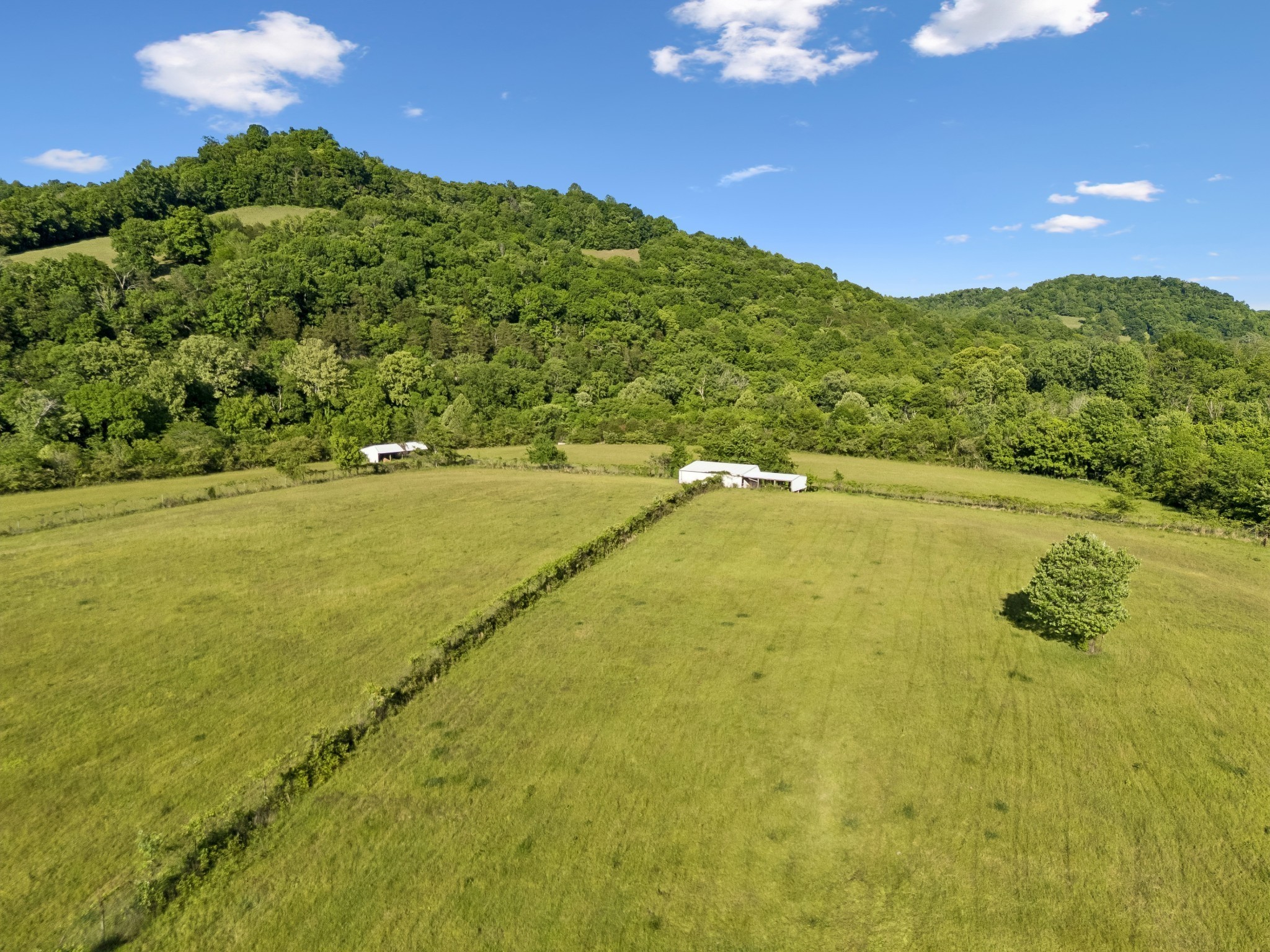 97 Seabo Valley Ln Property Photo 8