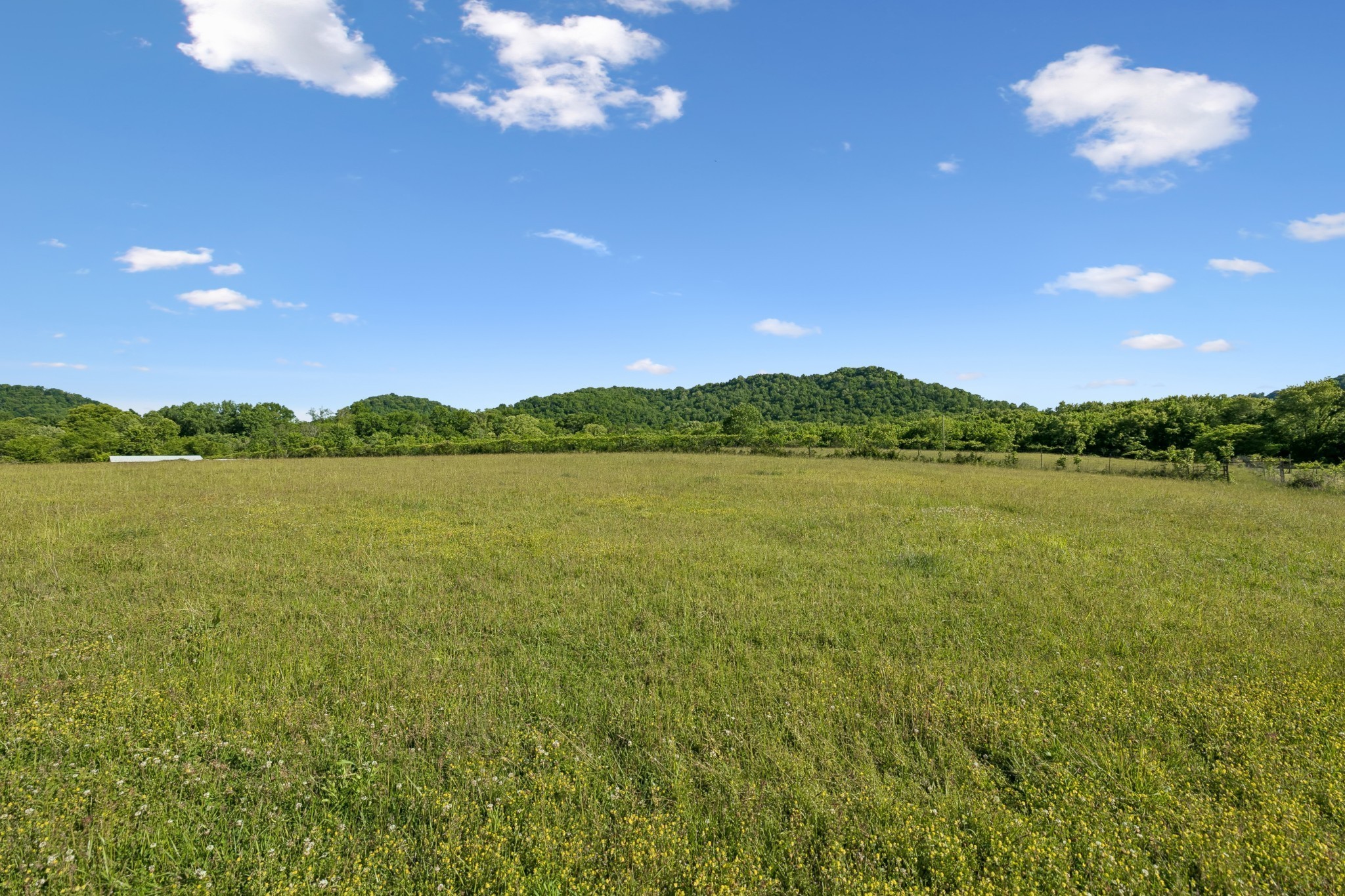 97 Seabo Valley Ln Property Photo 15