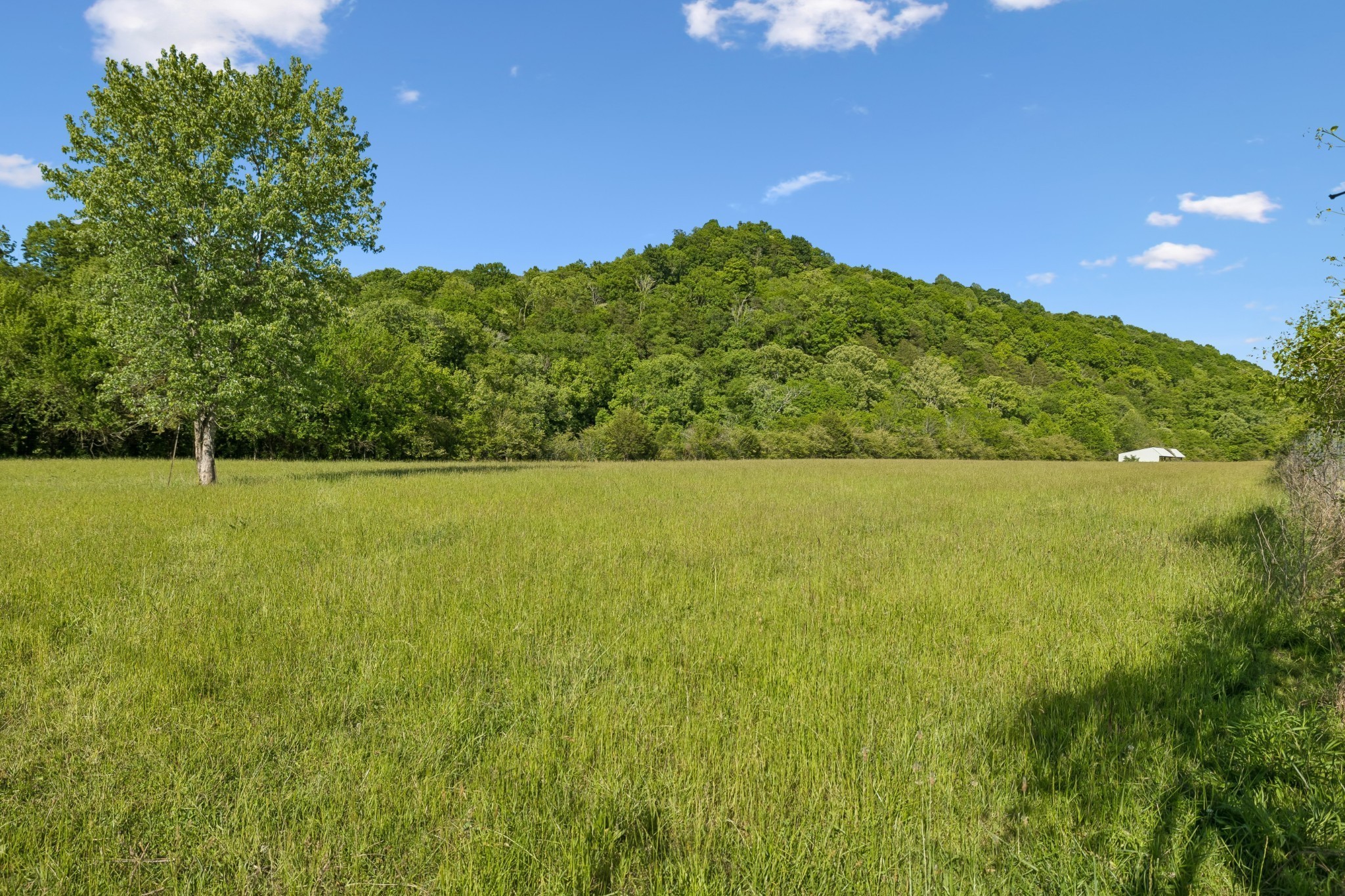 97 Seabo Valley Ln Property Photo 16