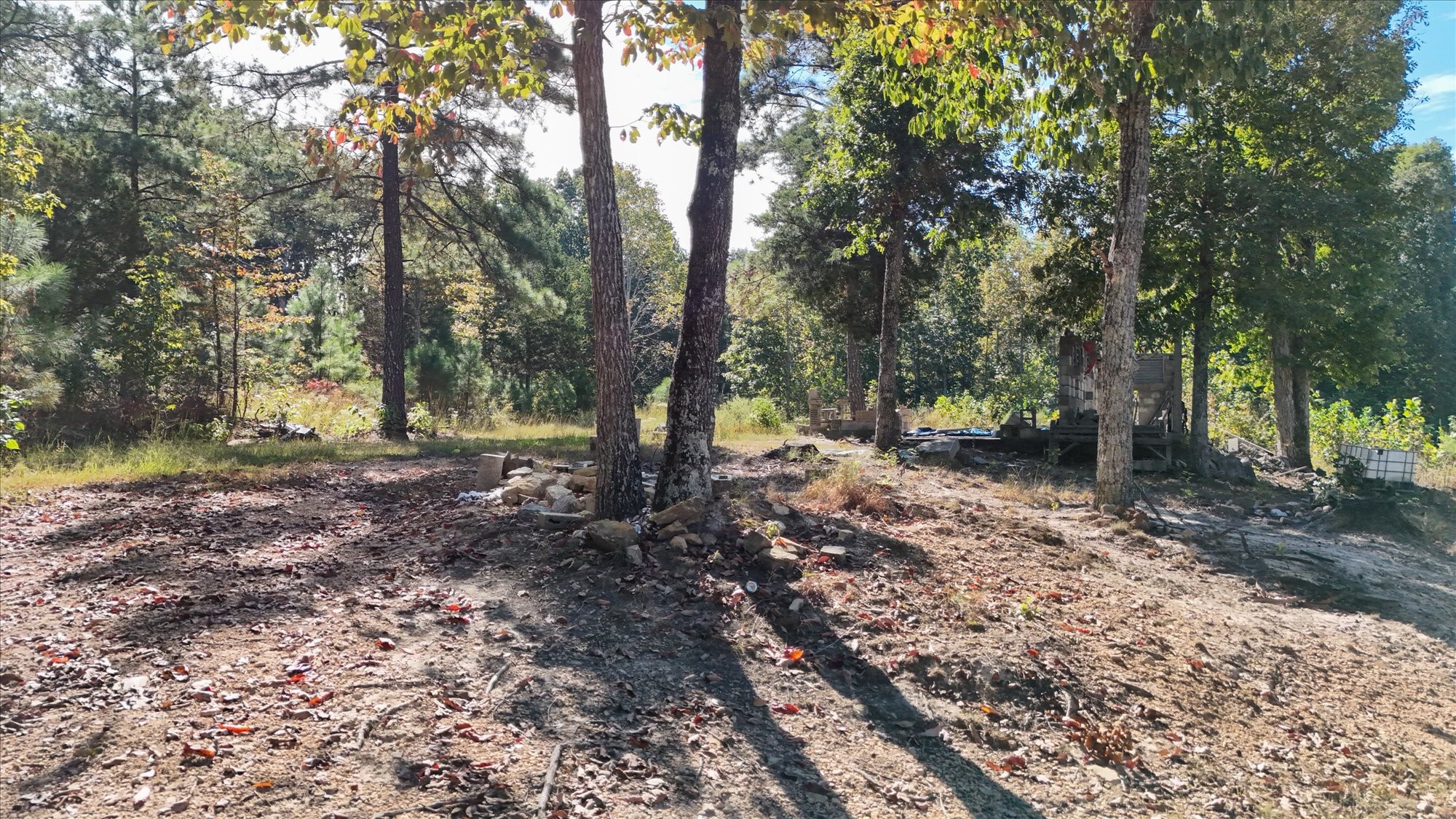8775 Birdsong Rd Property Photo 11