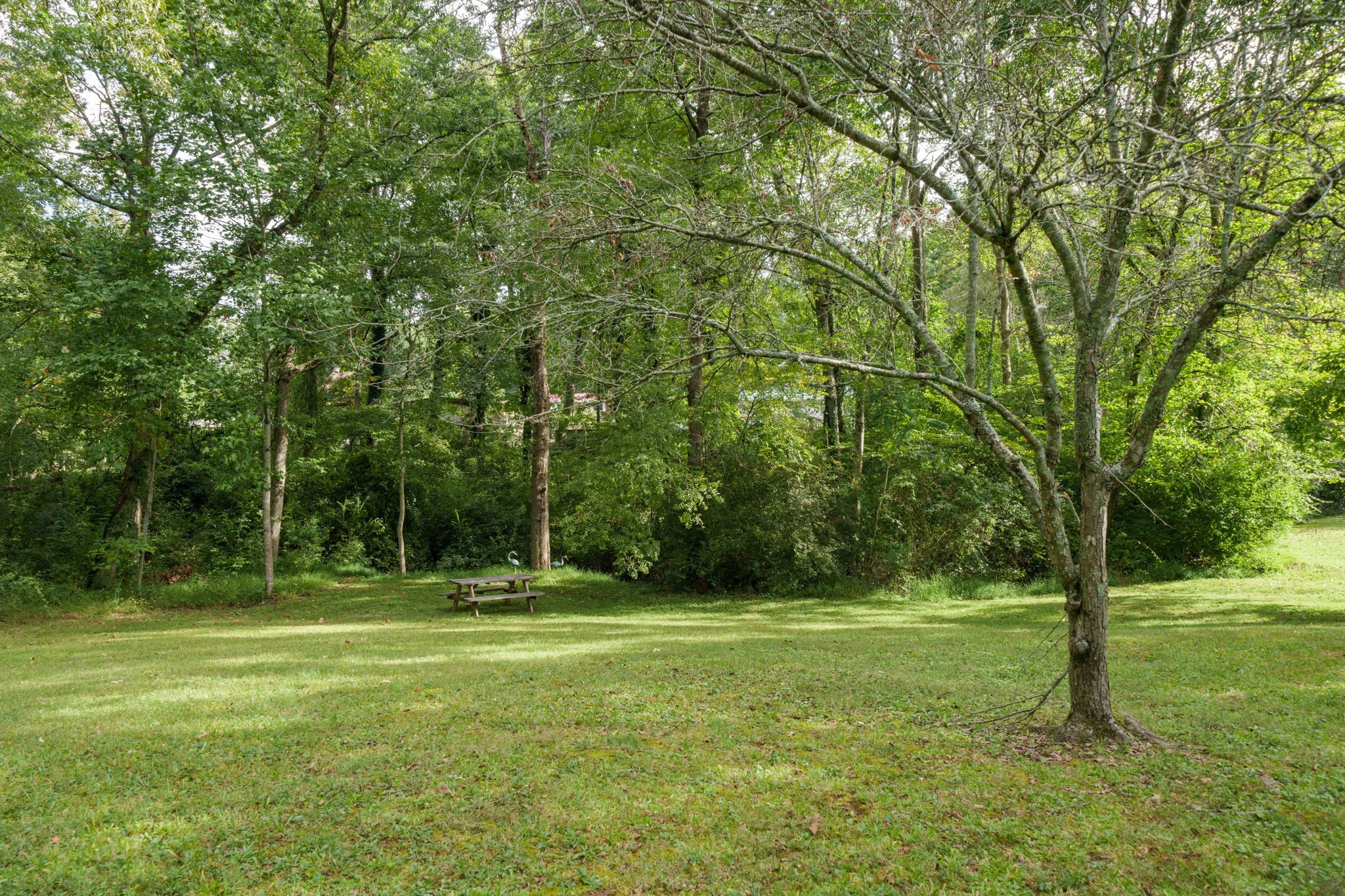 240 Birchwood Dr Property Photo 32