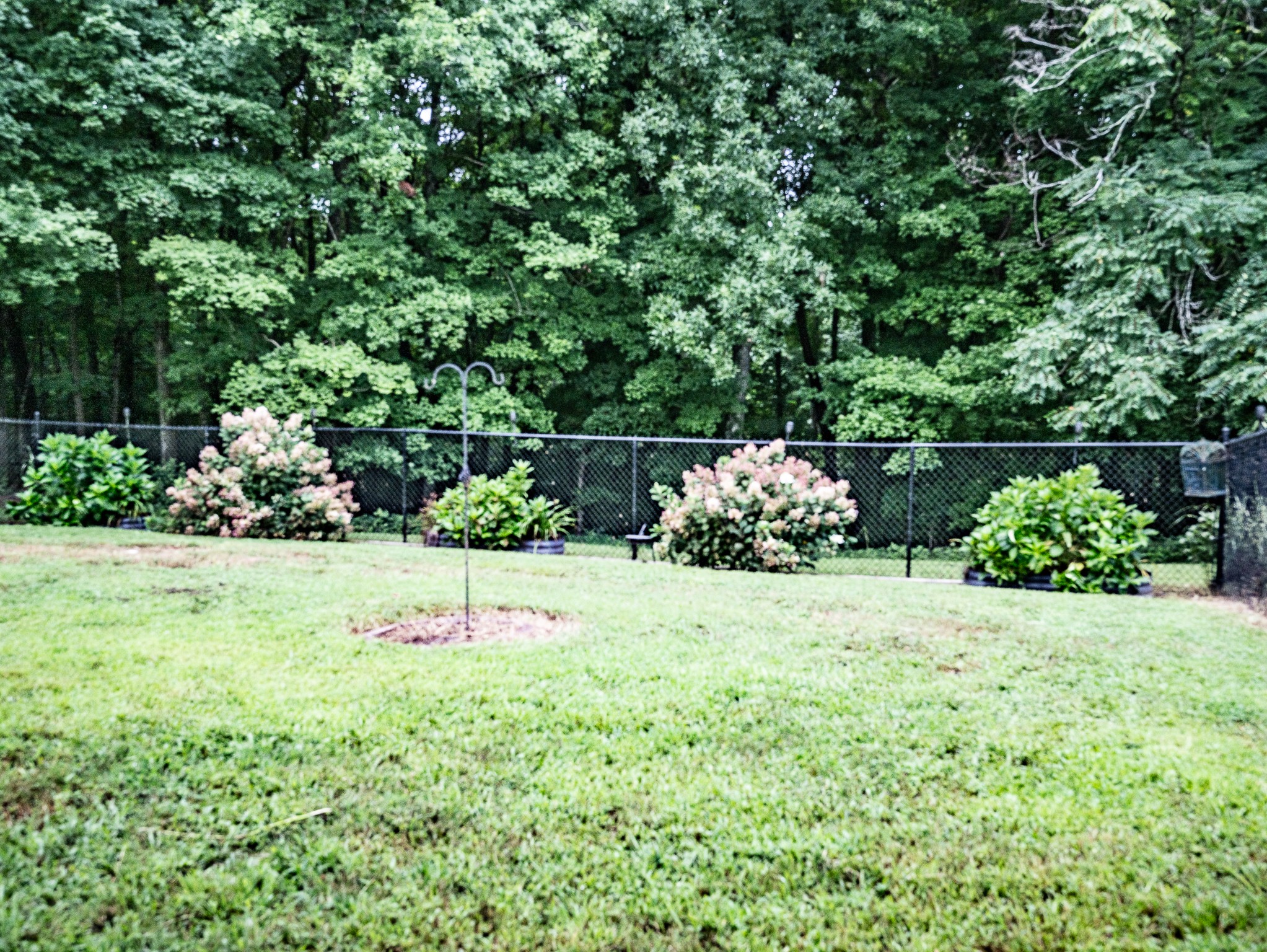 1004 Breeden Rd Property Photo 22