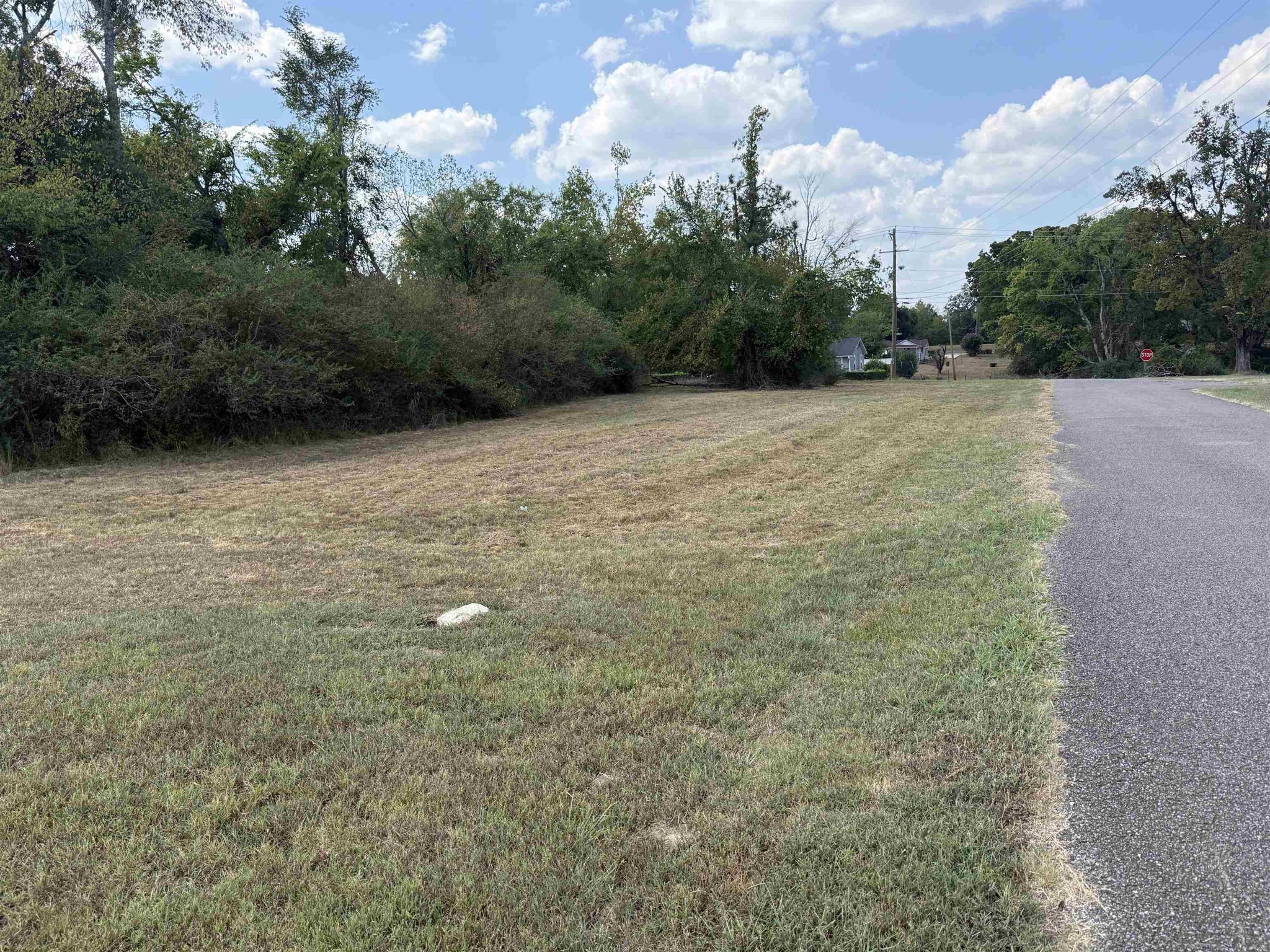 305 South St Property Photo 5