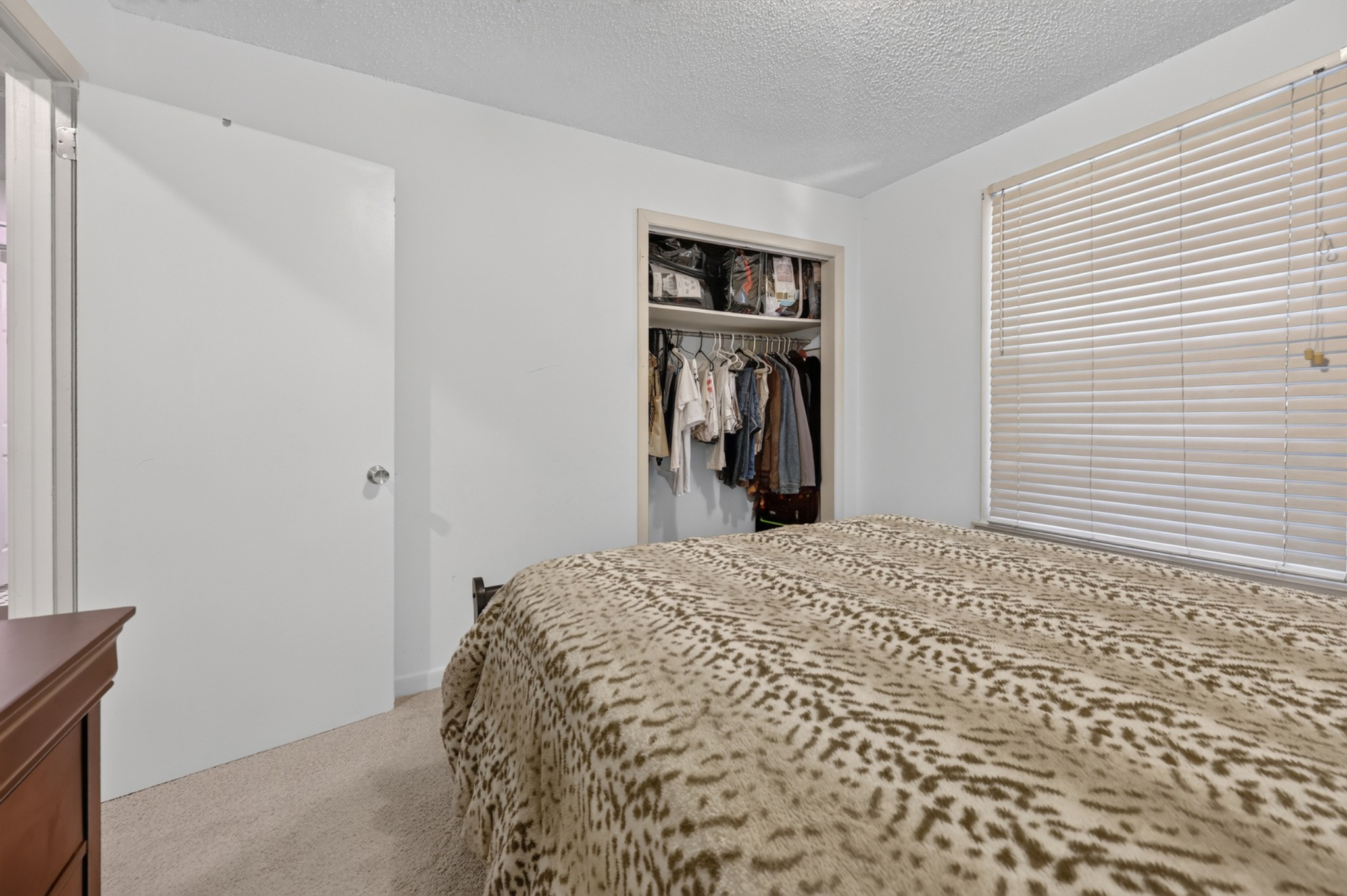 113 Aileen Ct Property Photo 17