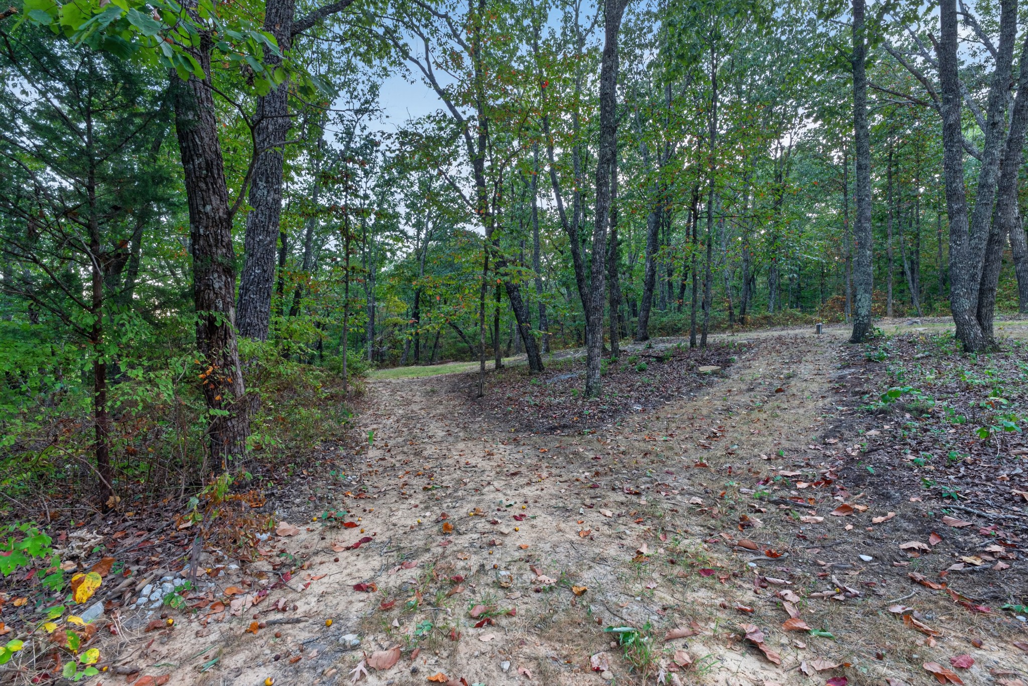 377 Valley View Drive Property Photo 36