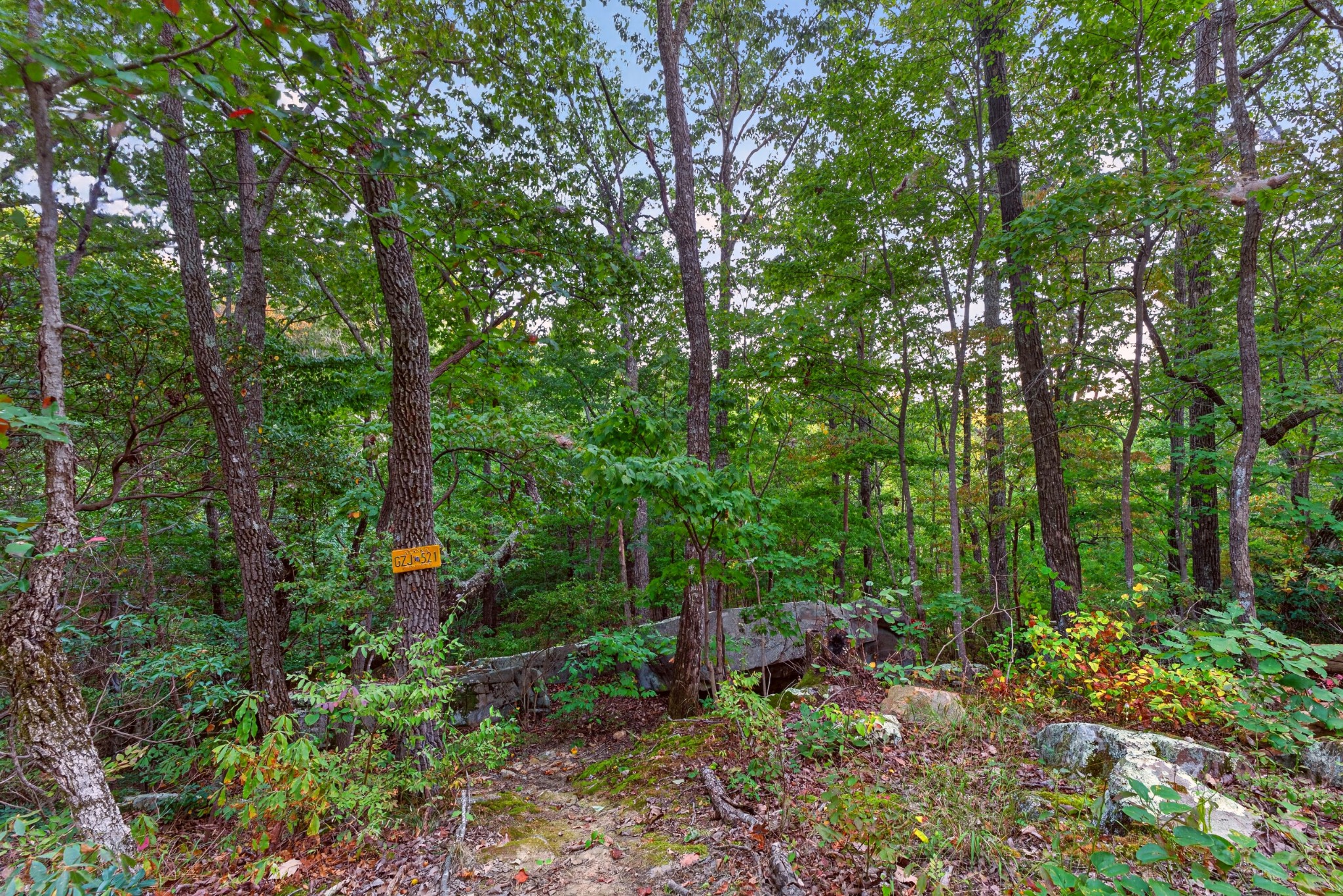 377 Valley View Drive Property Photo 37