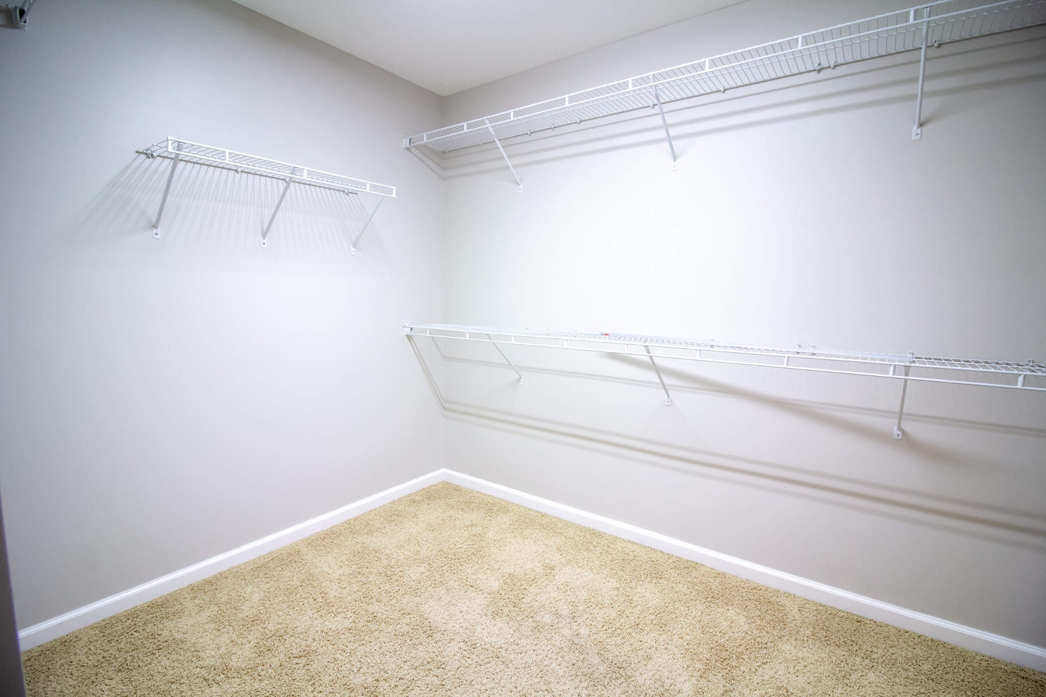3605 Fair Meadows Ct Property Photo 35