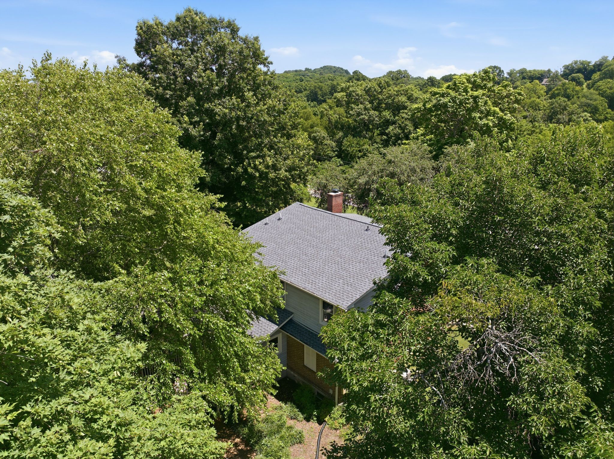 445 Carters Creek Pike Property Photo 37