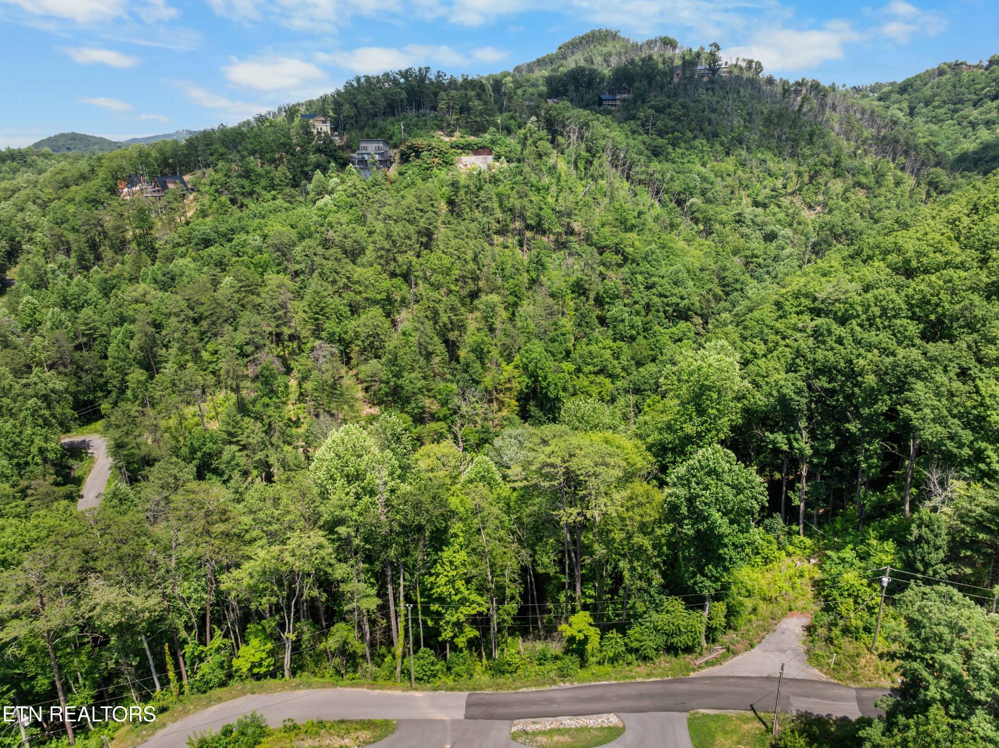 3278 Emerald Springs Loop Property Photo 2