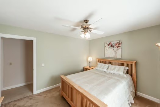 210 Tippett Hollow Ct Property Photo 45