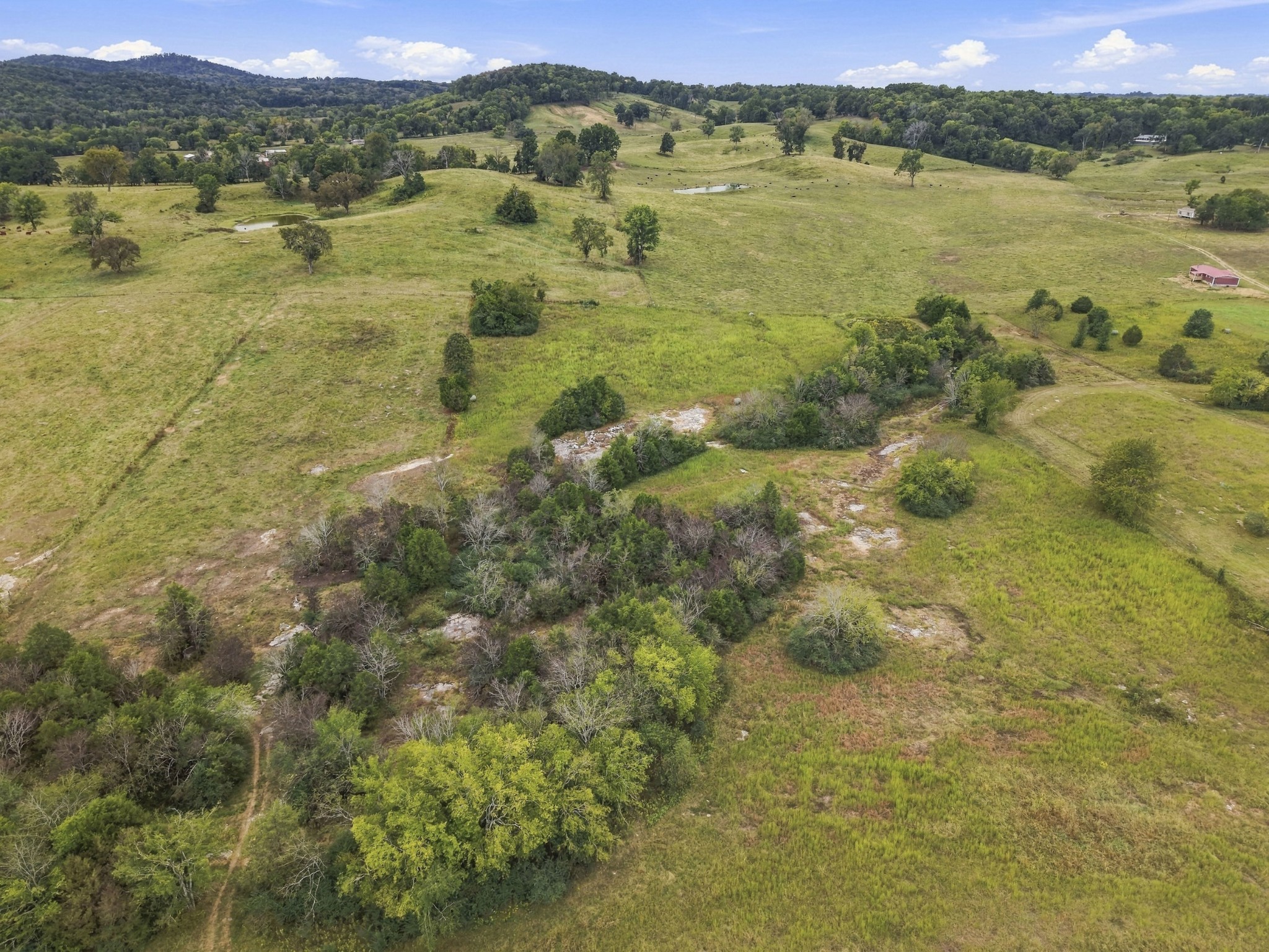 6 Cedar Bluff Rd Property Photo 15