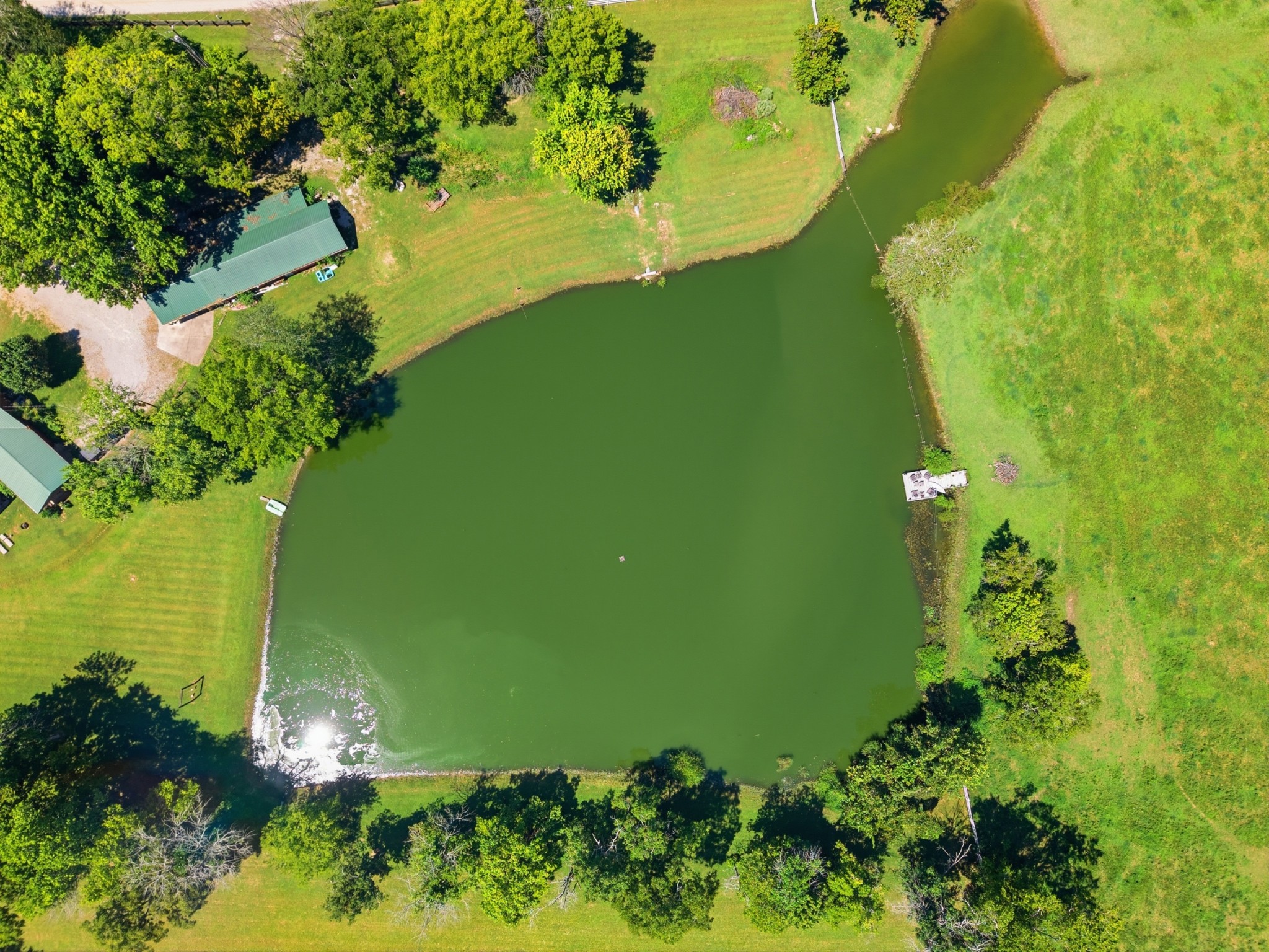 4220 Little Pond Ln Property Photo 12