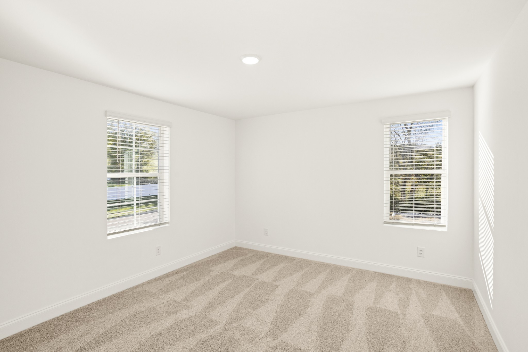 1562 Oak Springs Drive Property Photo 36