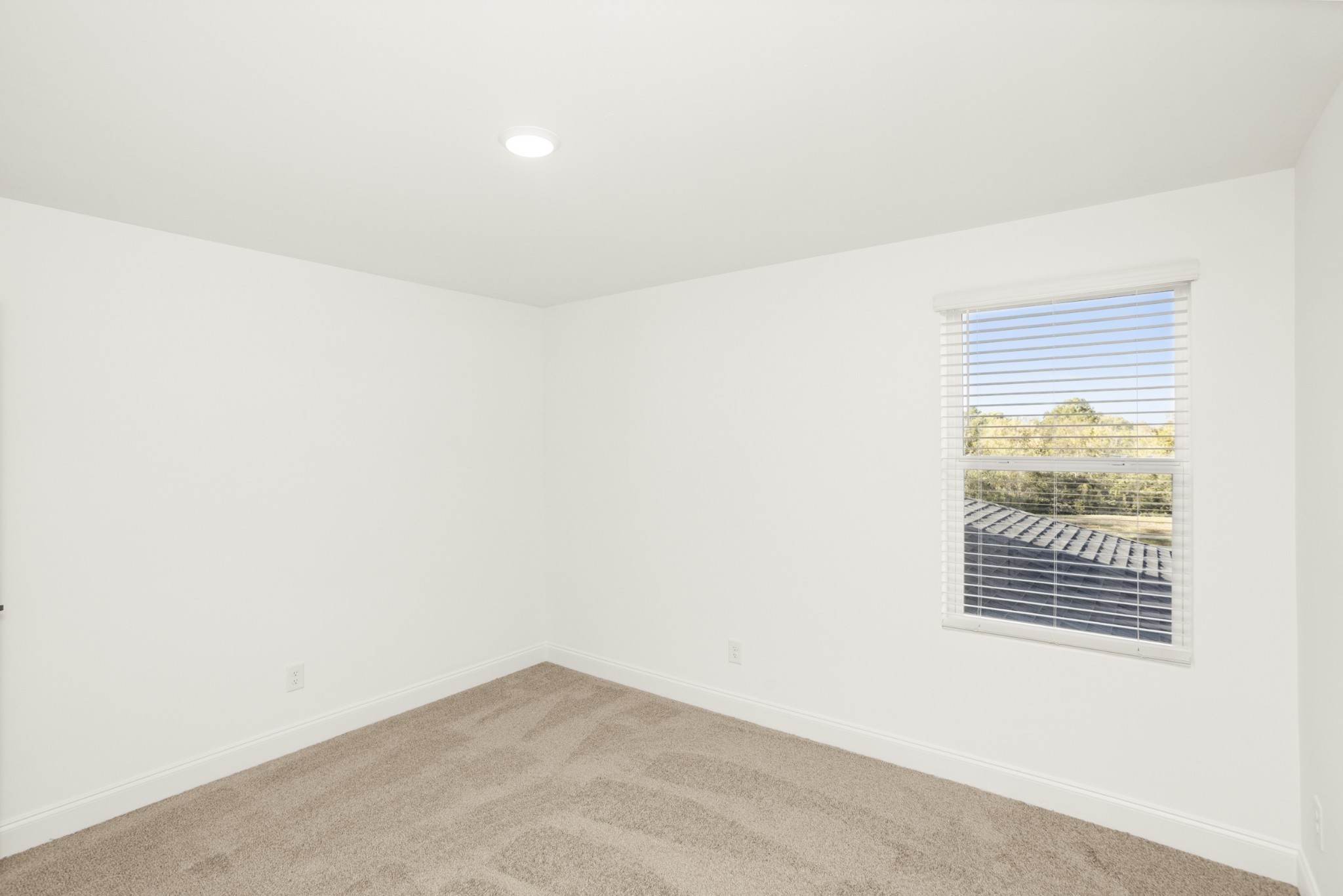 1562 Oak Springs Drive Property Photo 44
