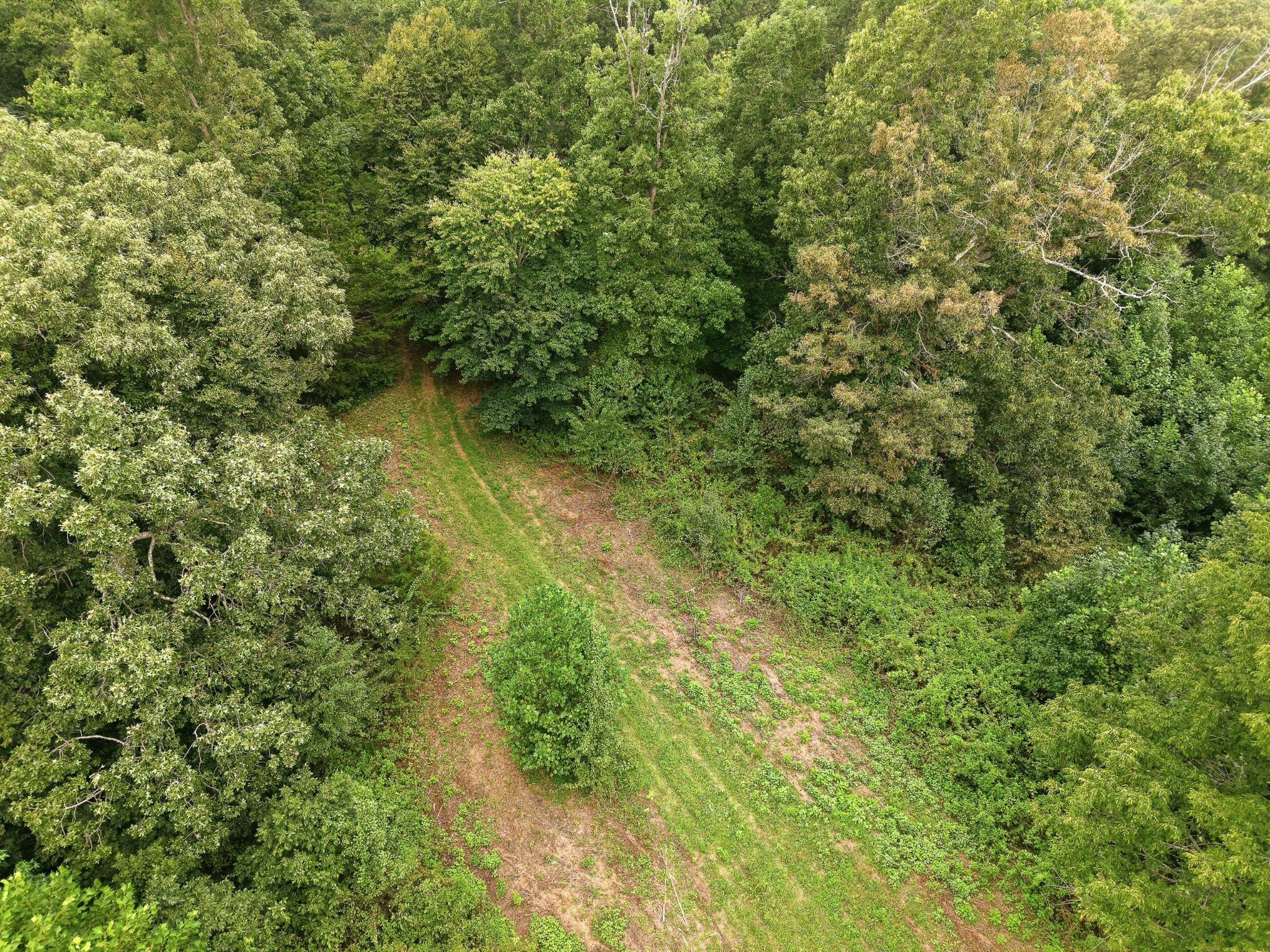 329 Old Standing Stone Rd Property Photo 12