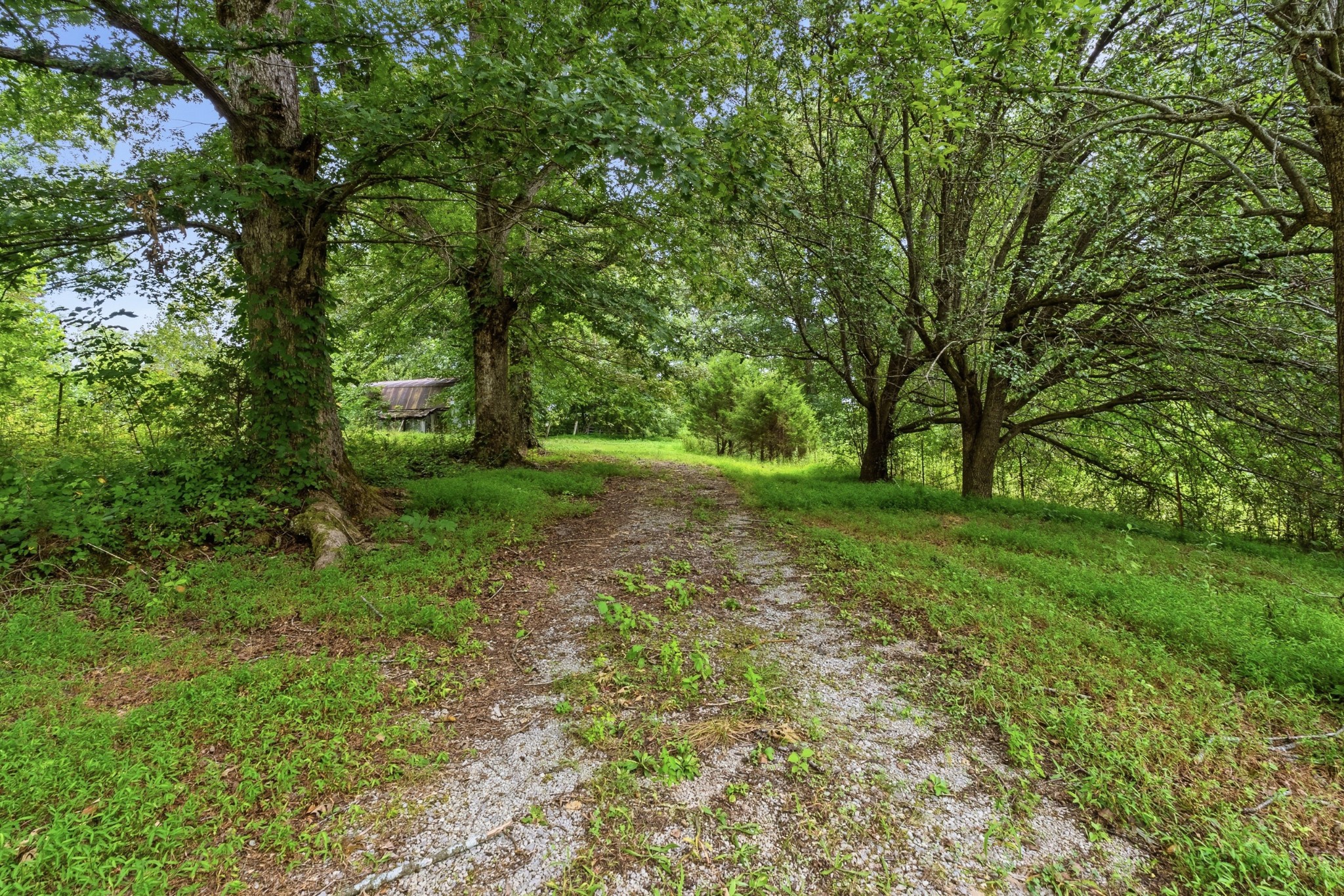 329 Old Standing Stone Rd Property Photo 28