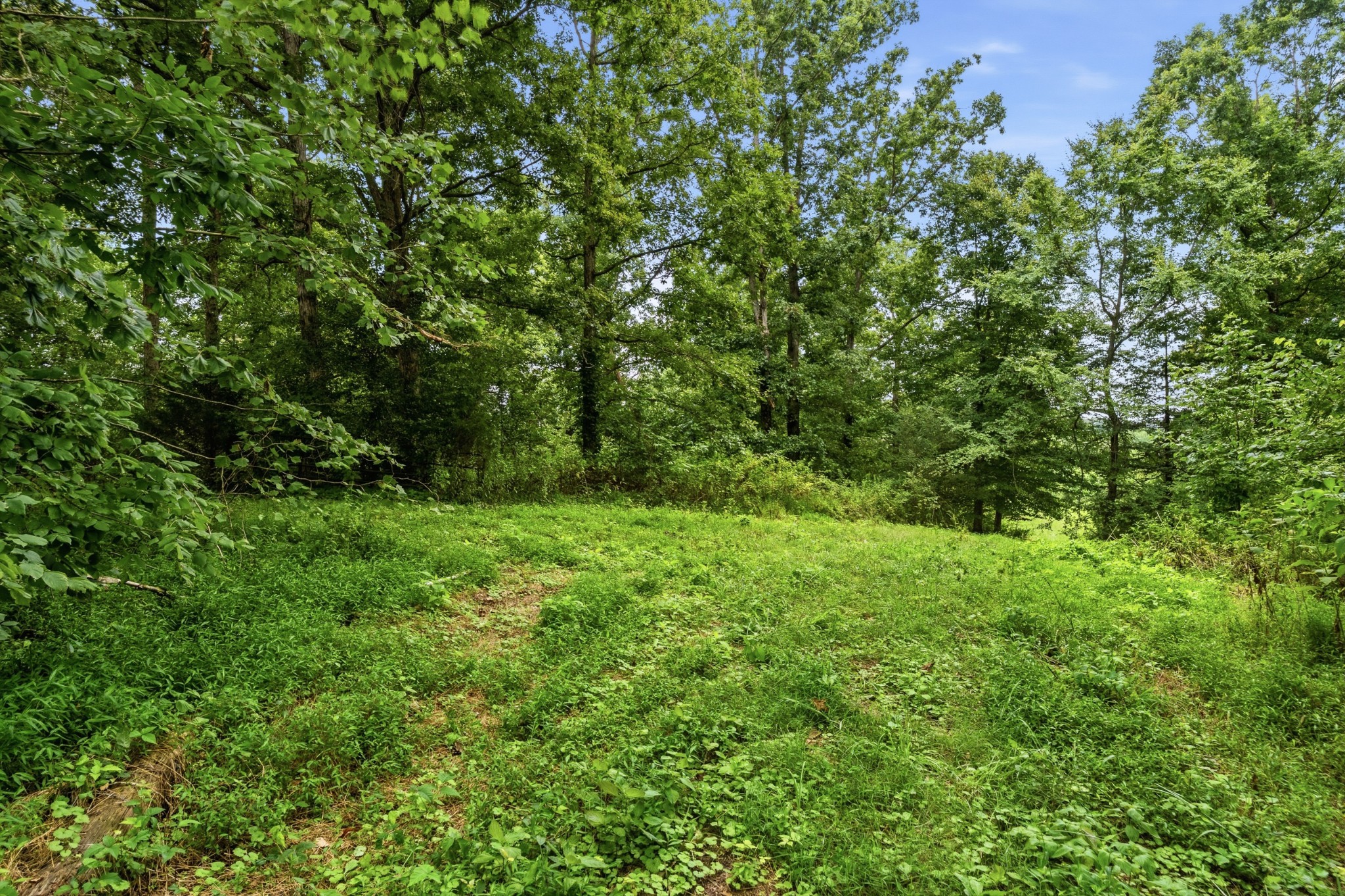 329 Old Standing Stone Rd Property Photo 31