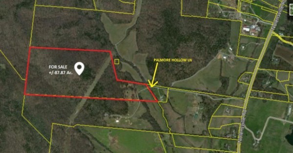 0 Palmore Hollow Lane Property Photo 1