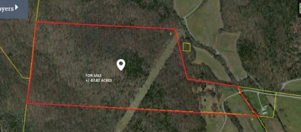 0 Palmore Hollow Lane Property Photo 2