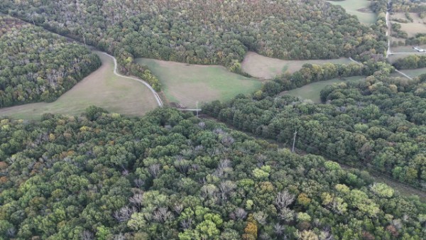 0 Palmore Hollow Lane Property Photo 6