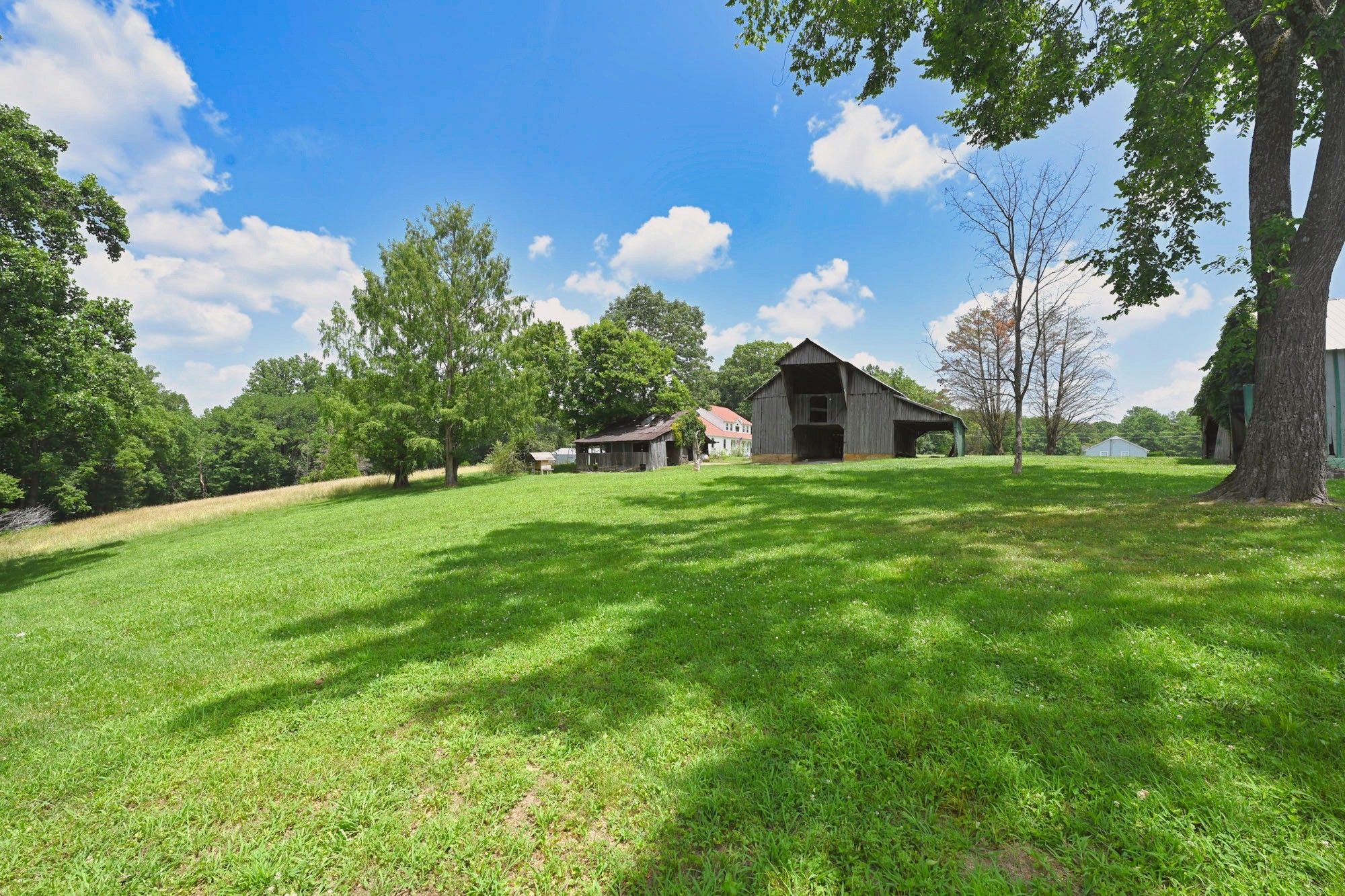 5658 Dividing Ridge Rd Property Photo 37