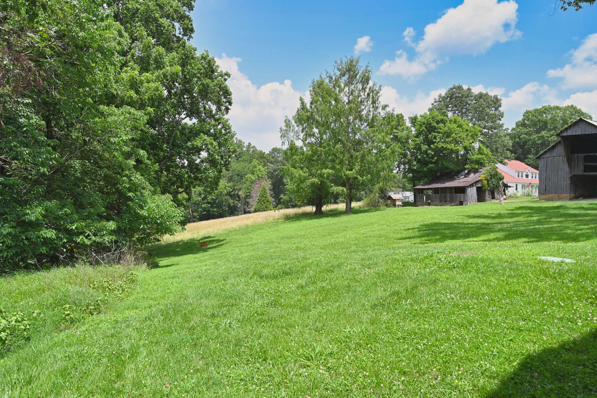 5658 Dividing Ridge Rd Property Photo 38