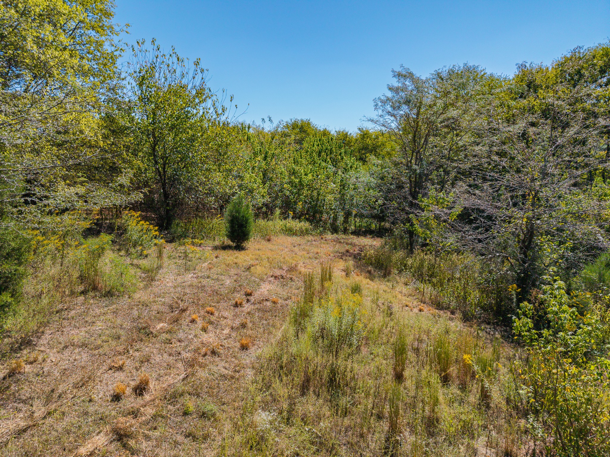 330 Swan Creek Rd Property Photo 61