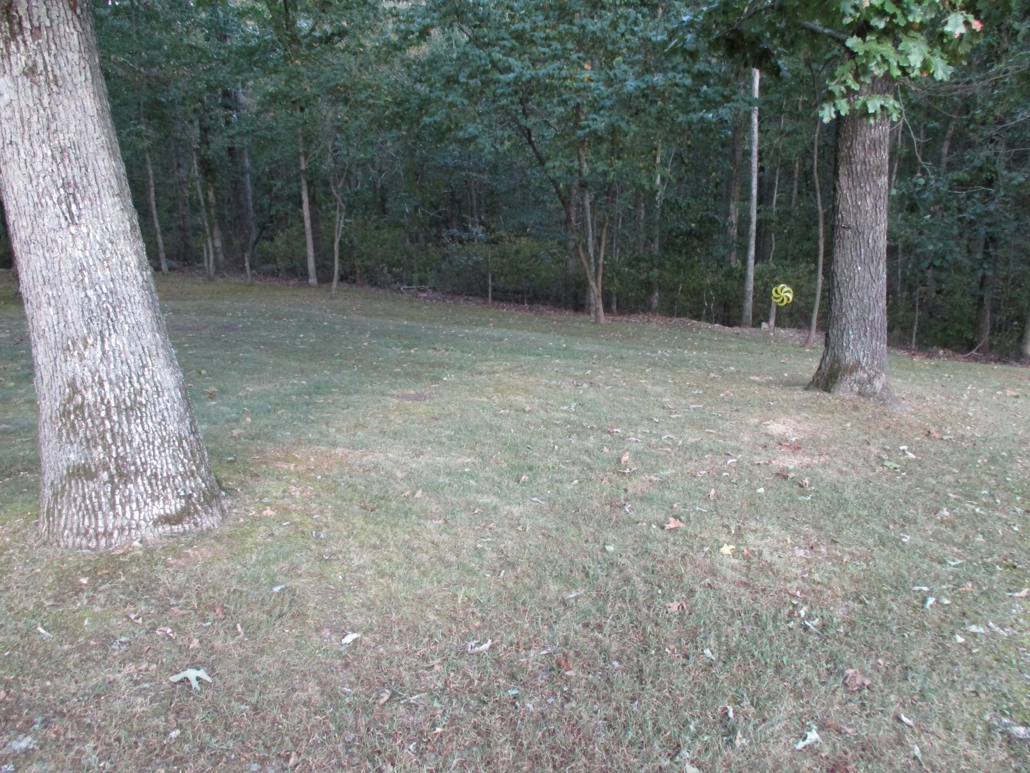 2806 High Ridge Dr Property Photo 32