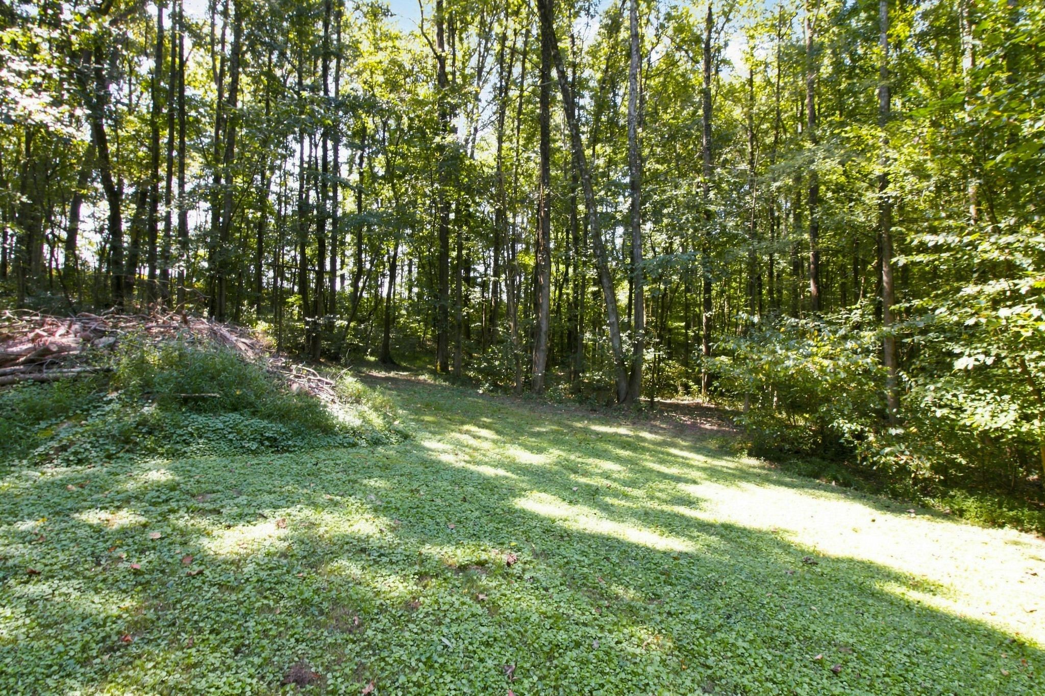 371 Wildwood Ln Property Photo 35