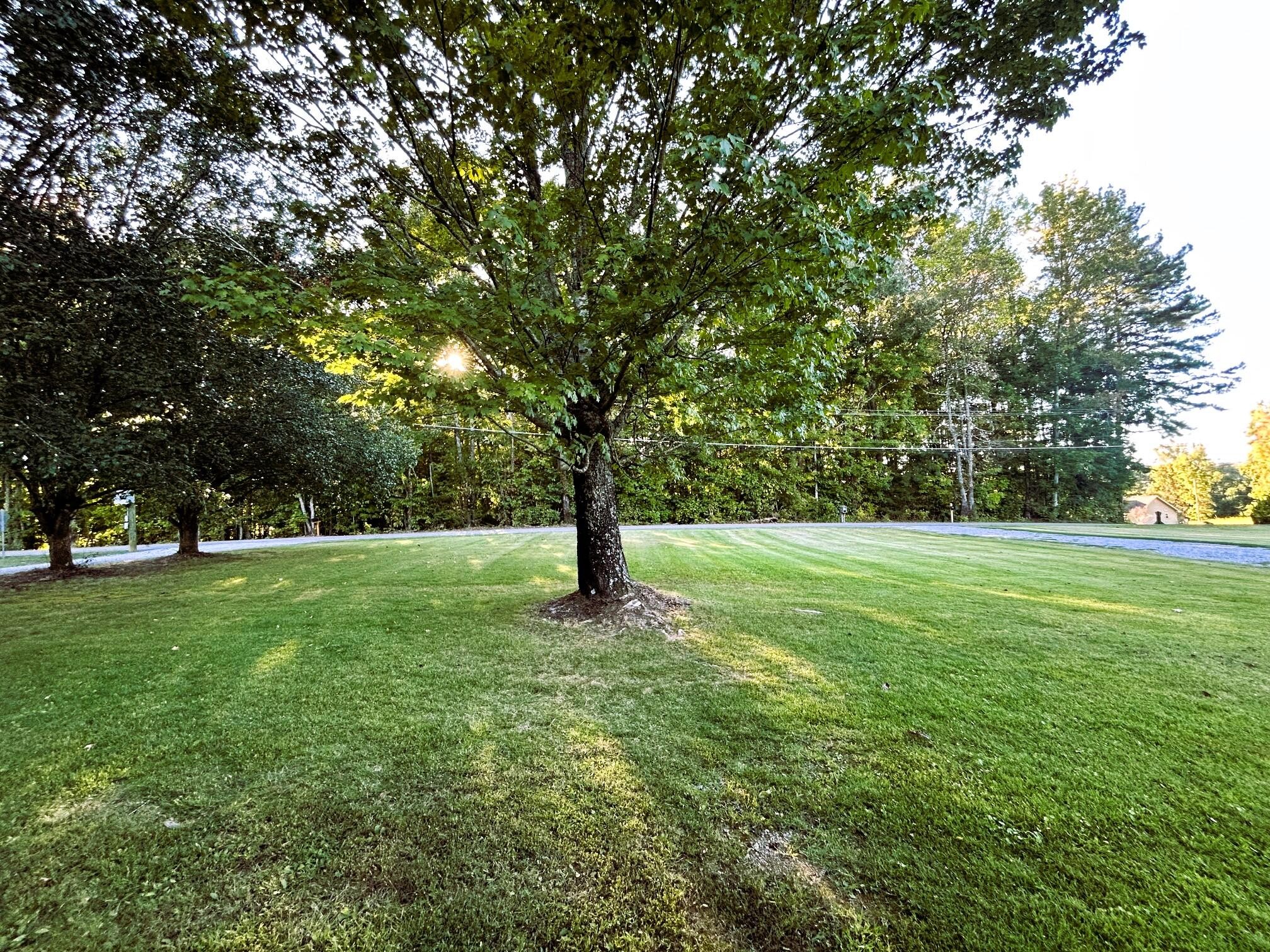 169 County Road 439 Property Photo 5
