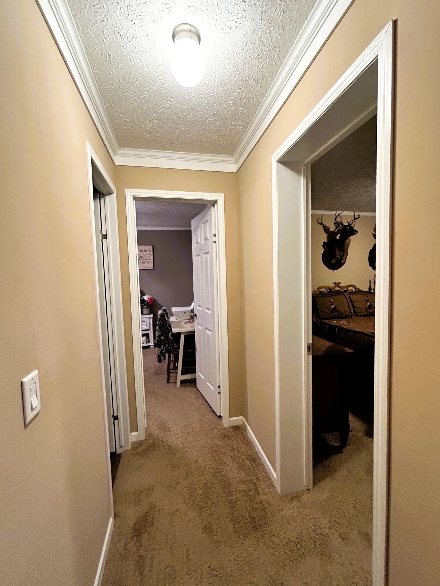 169 County Road 439 Property Photo 32