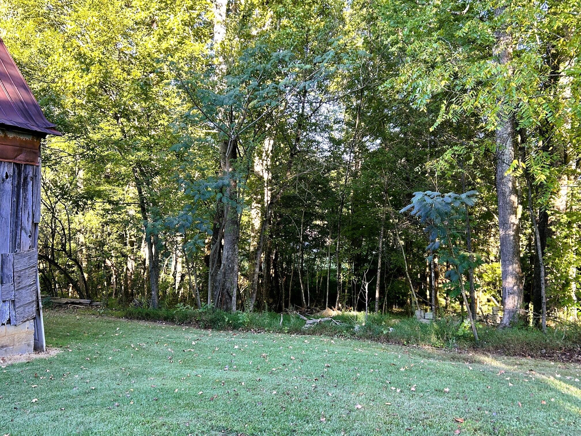169 County Road 439 Property Photo 51