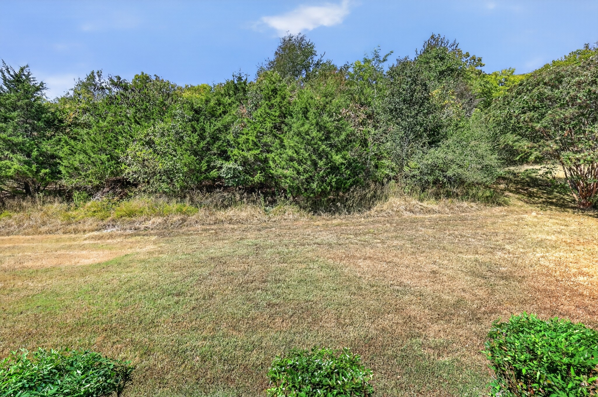 124 Paige Park Ln Property Photo 33